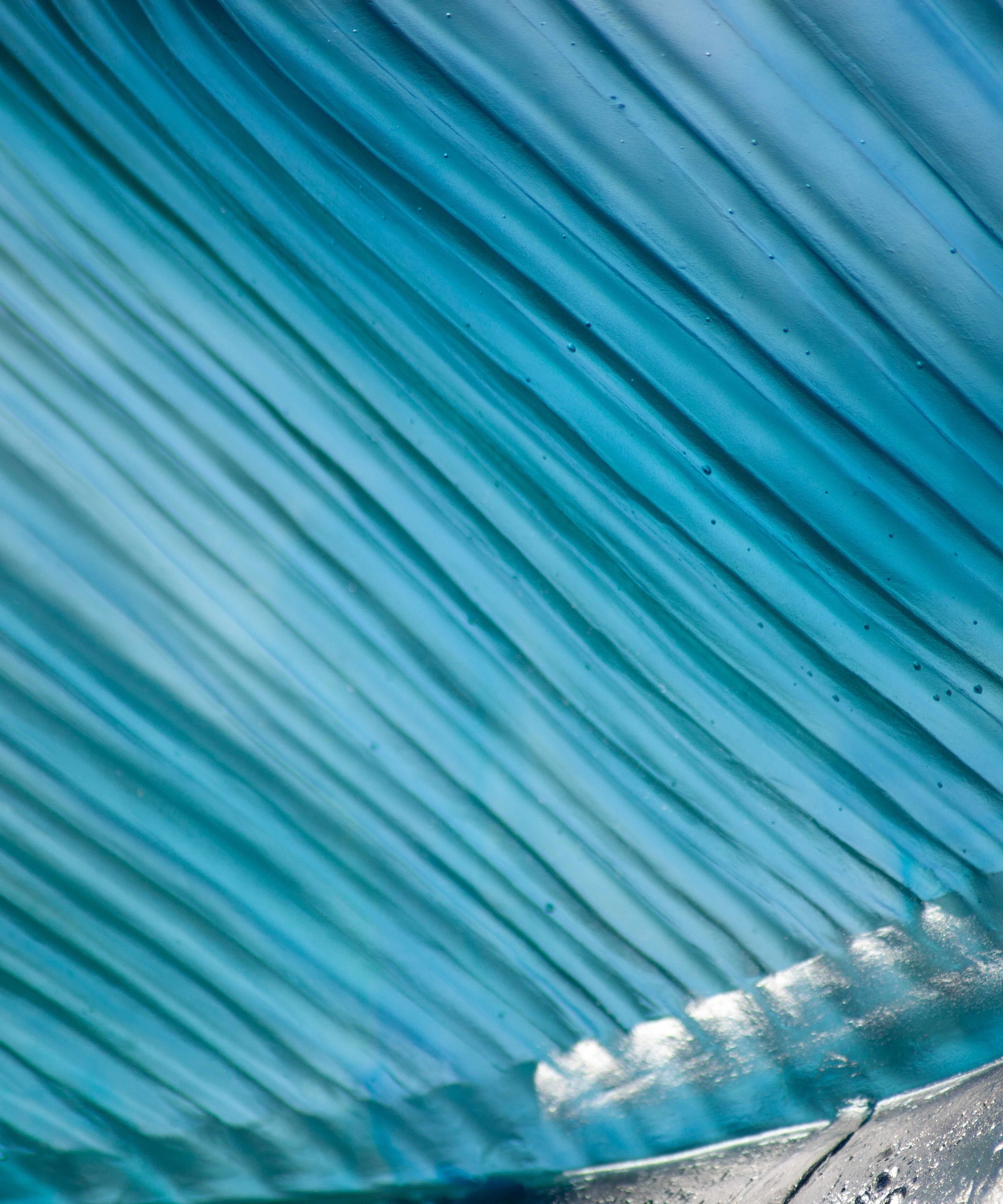 Maya Espadon empereur 50ex