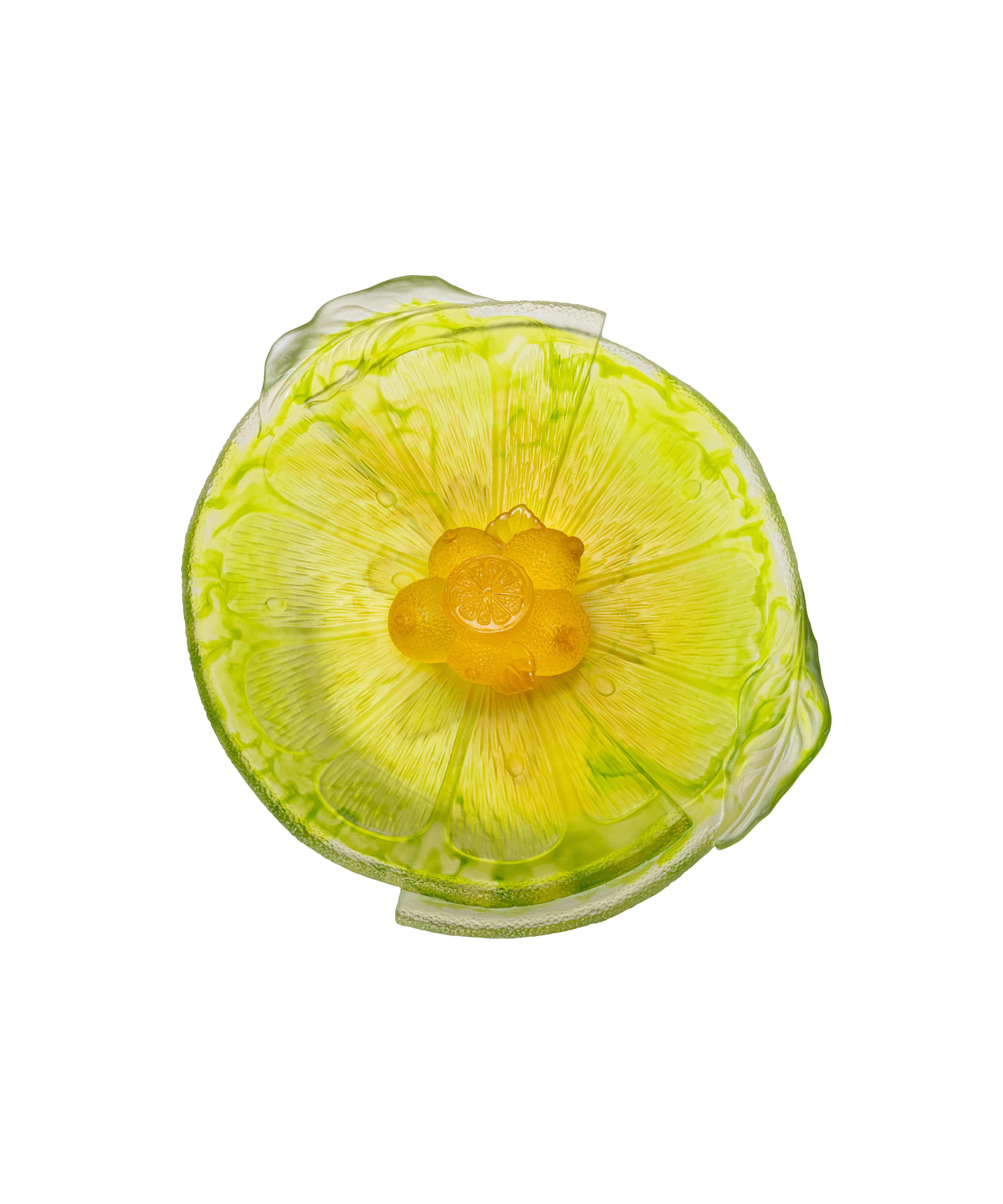 Citrus Coupe sur pied 225ex