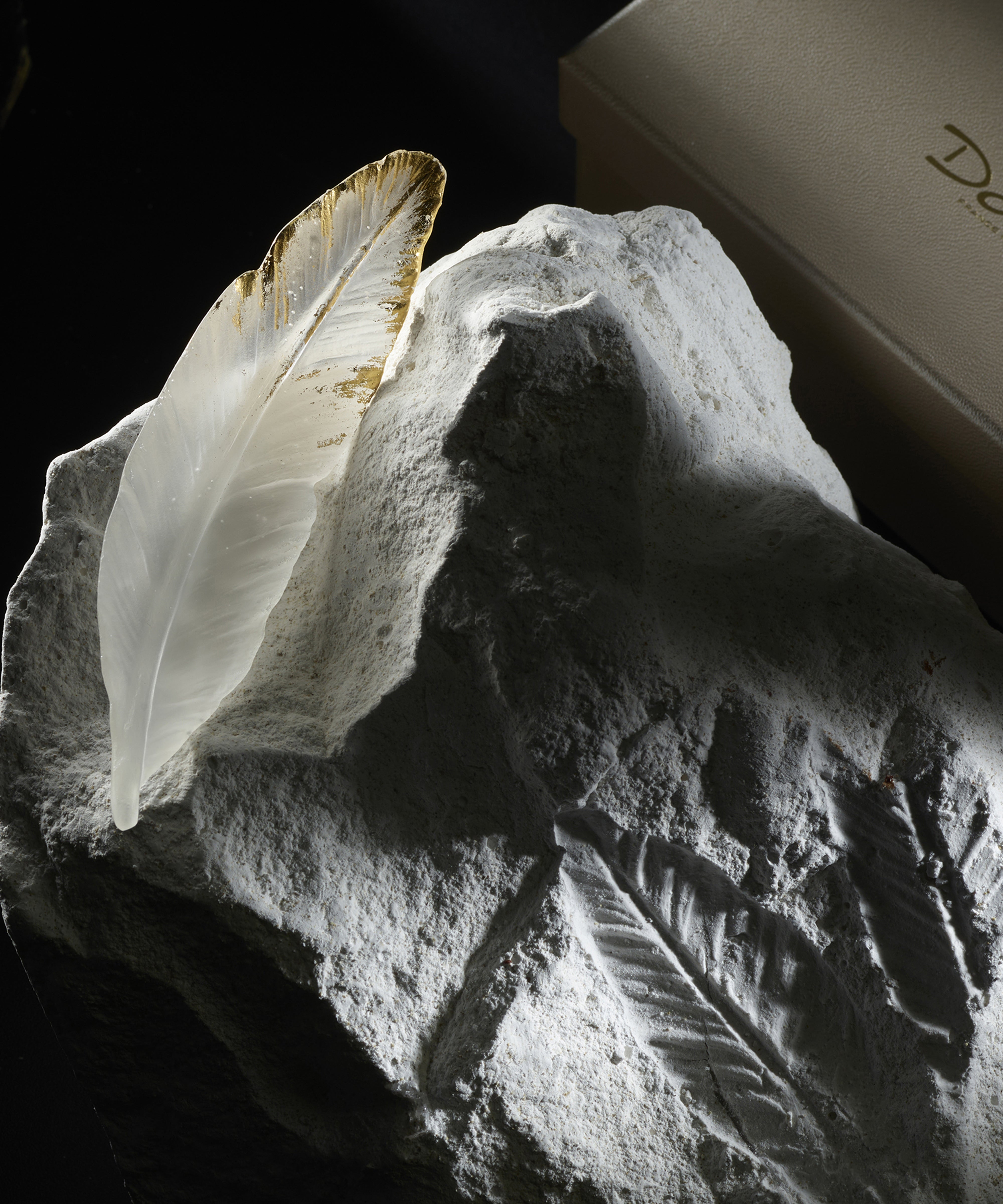 Plum'ky de Patrick Rougereau