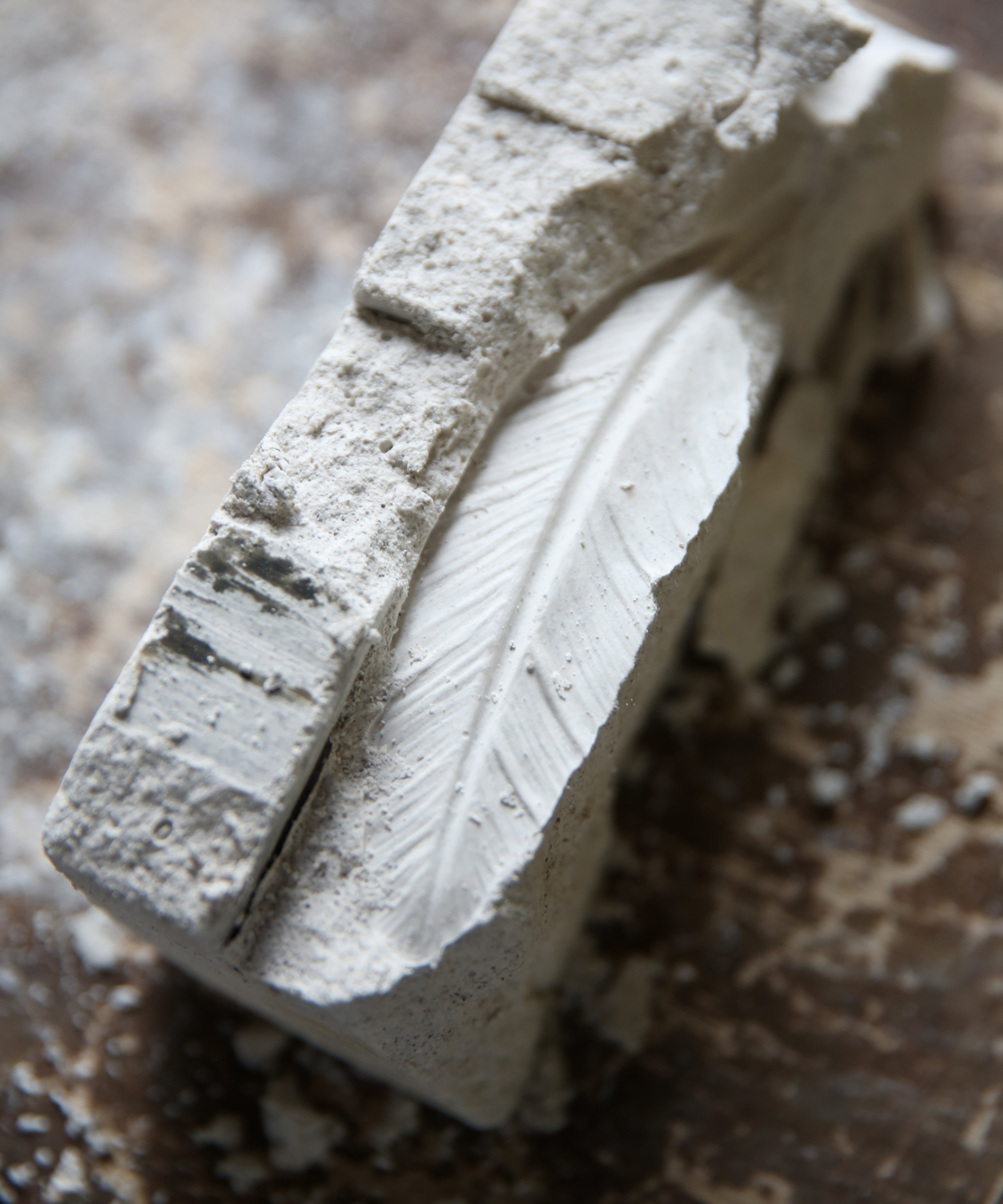 Plum'ky de Patrick Rougereau