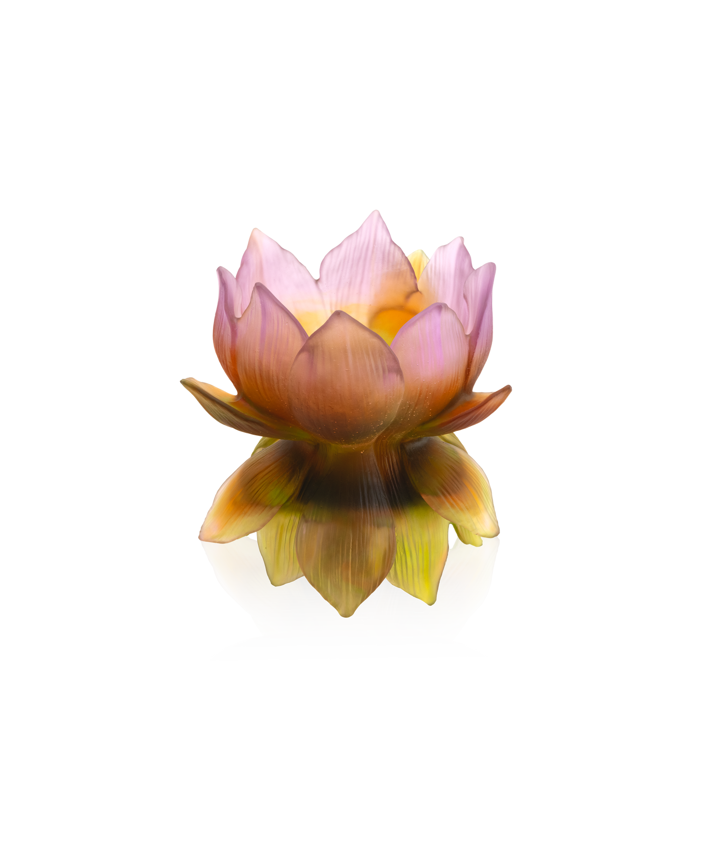 Jardin de Lotus Medium vase 175ex