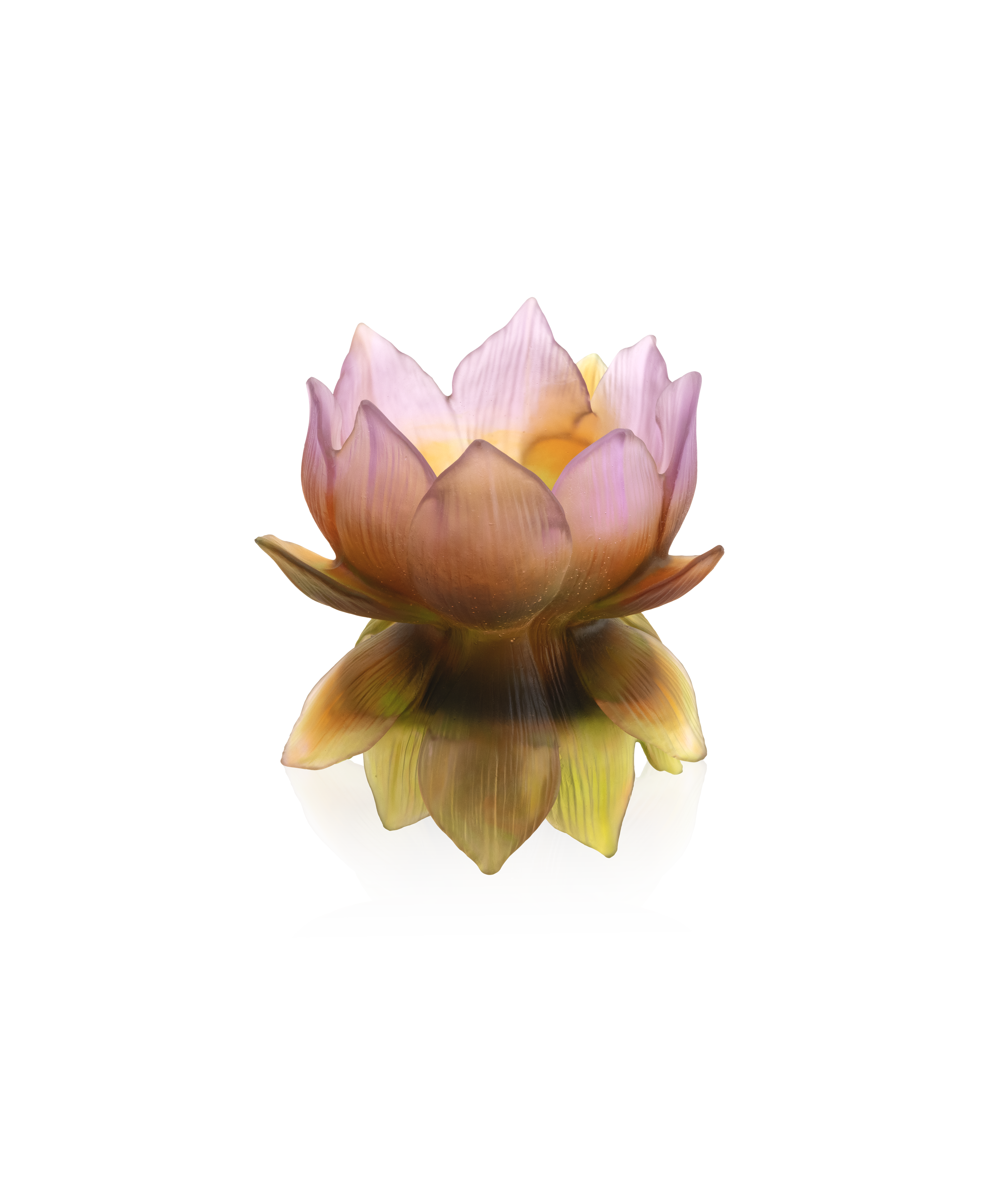 Jardin de Lotus Vase moyen modèle 175ex