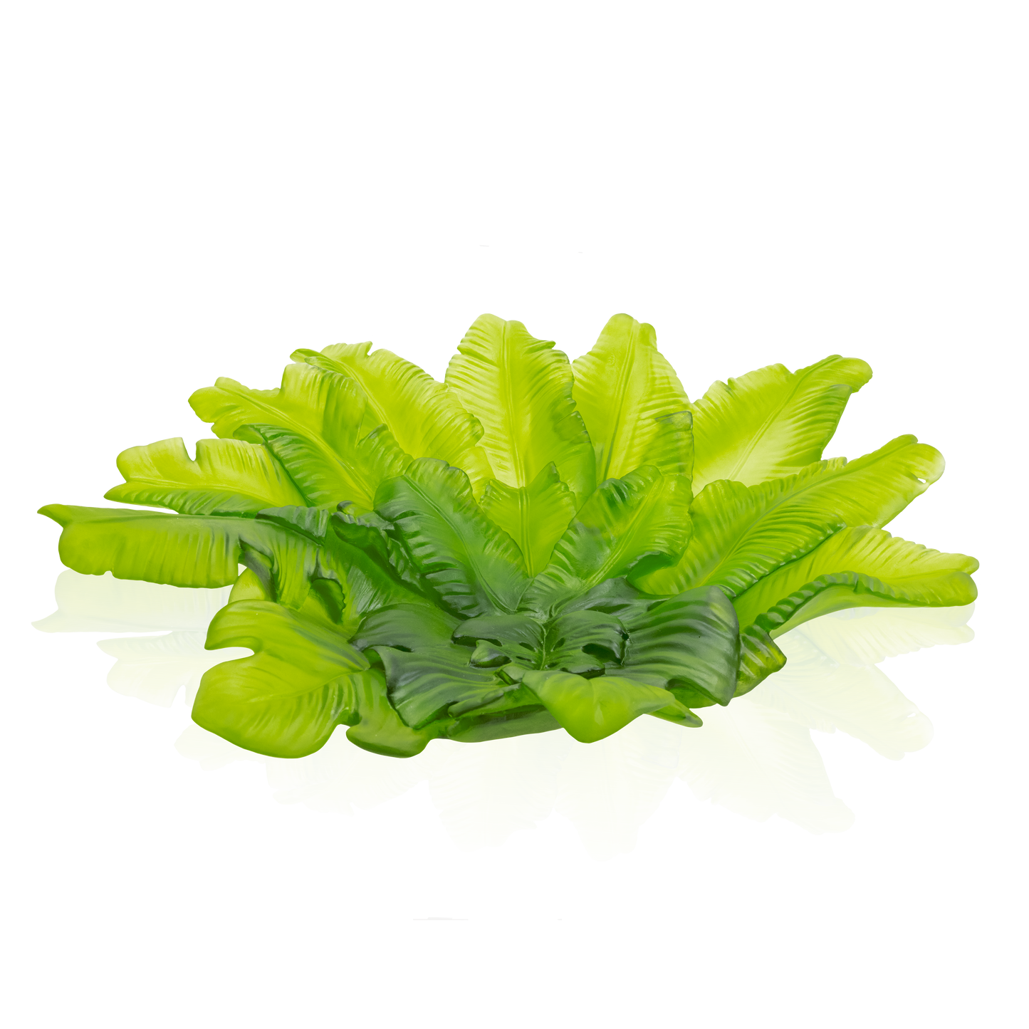 Tutti Frutti Coupe grand modèle 175ex