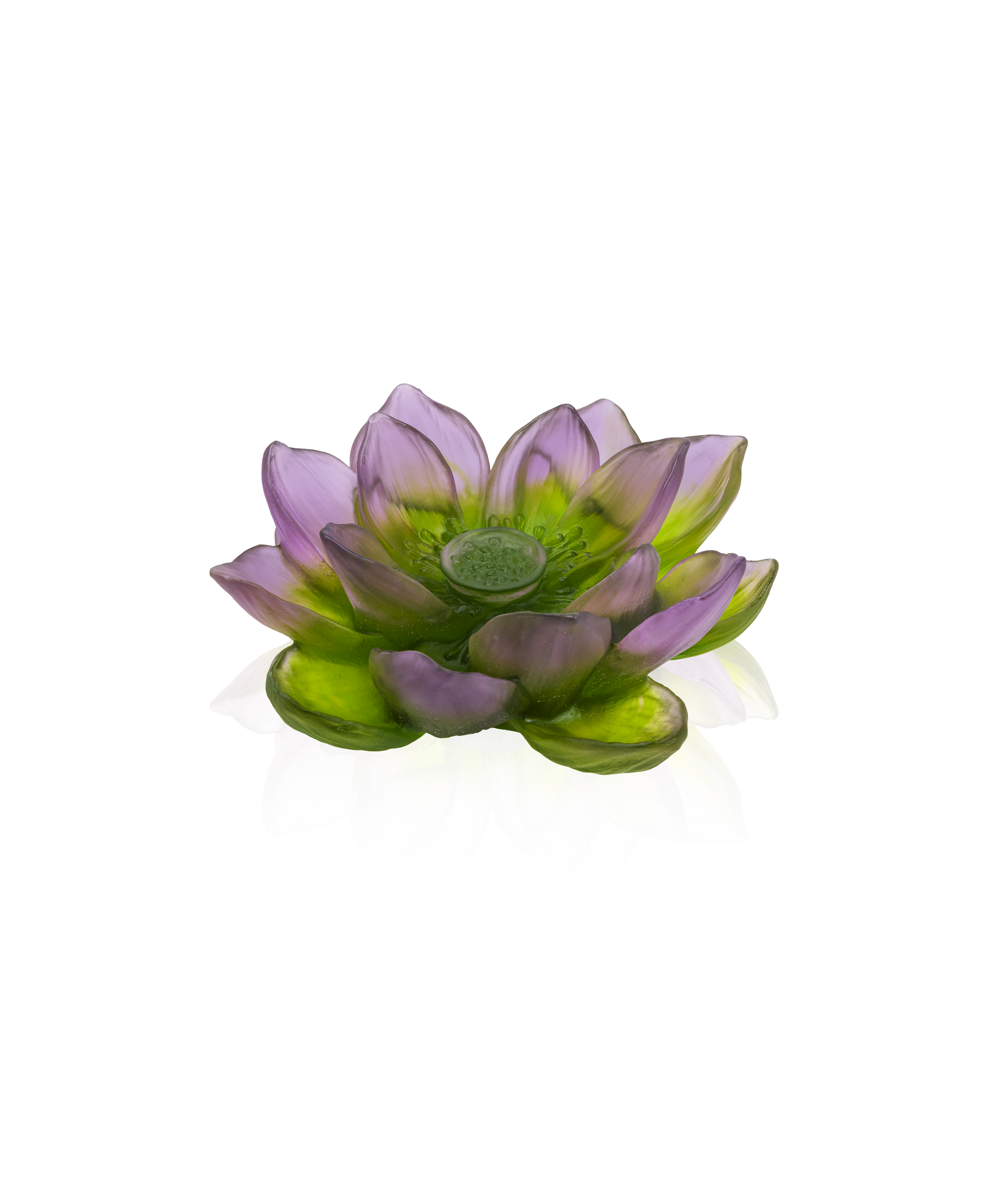 Jardin de Lotus Fleur décorative Violet-vert