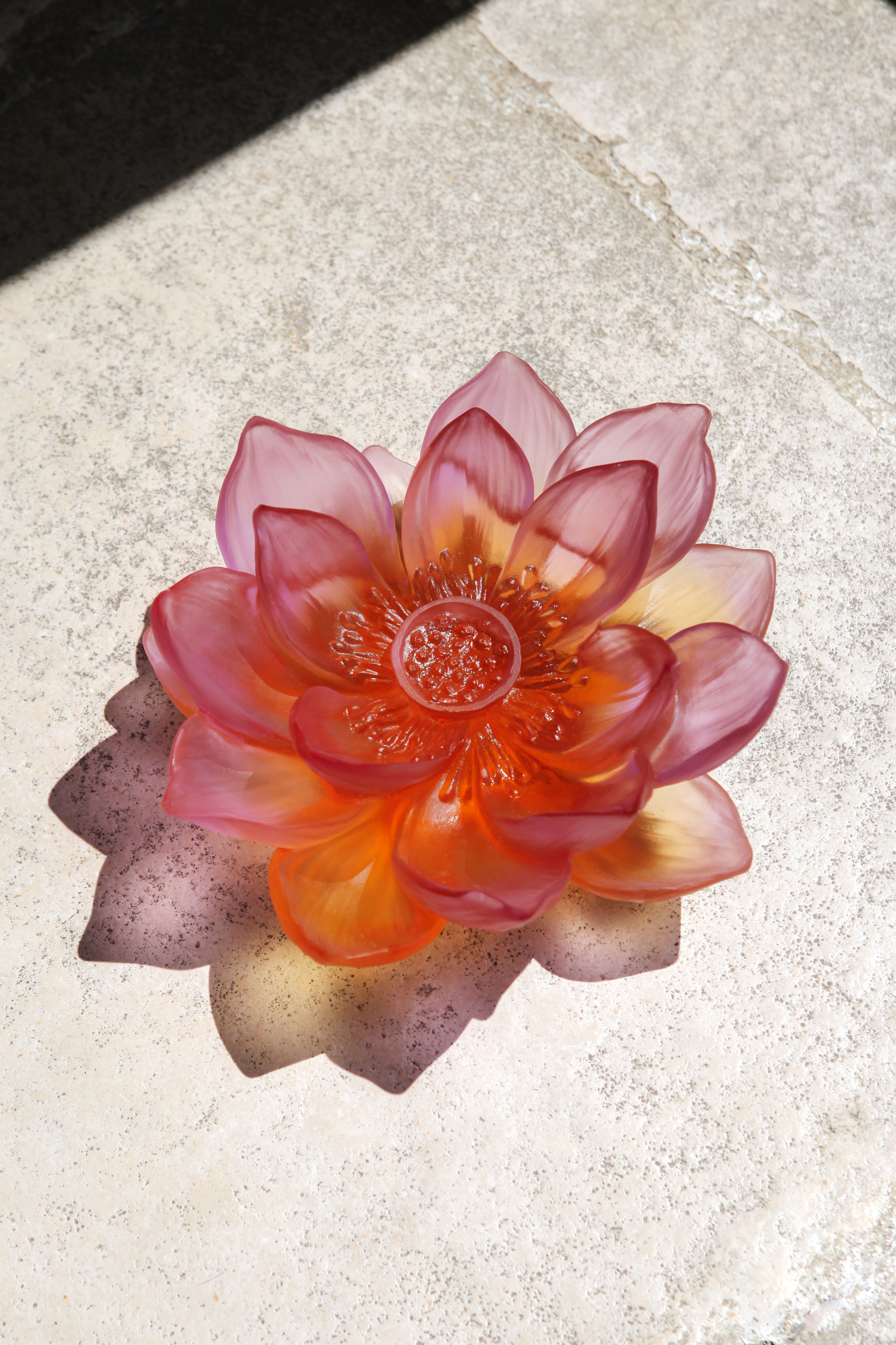 05871_jardin-de-lotus_fleur-