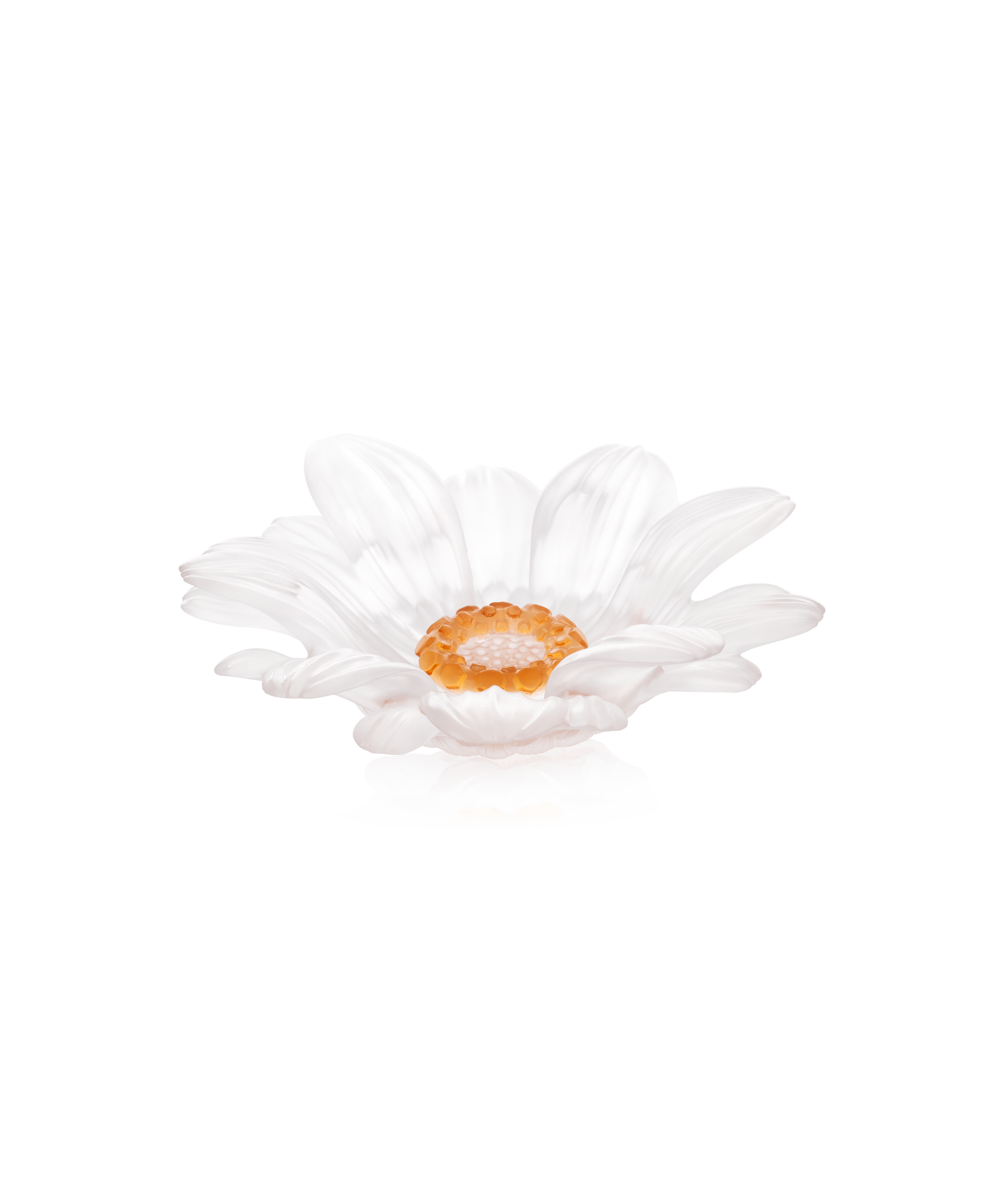 Or d'Abeille Fleur de présentation petit modèle blanche de Daum Intérieur, décoration élégante en forme de fleur en or.