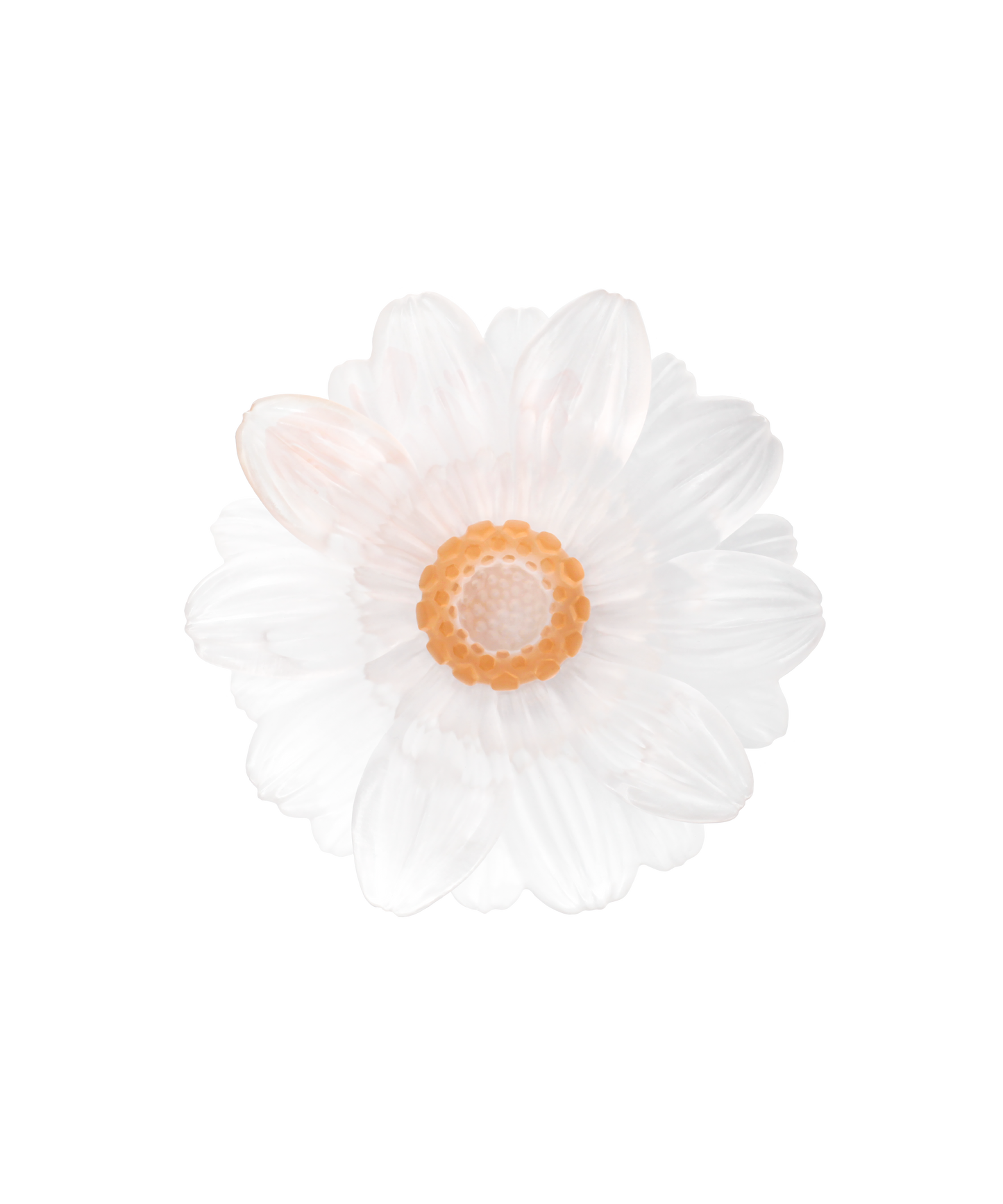 Or d'Abeille Fleur de présentation petit modèle blanche