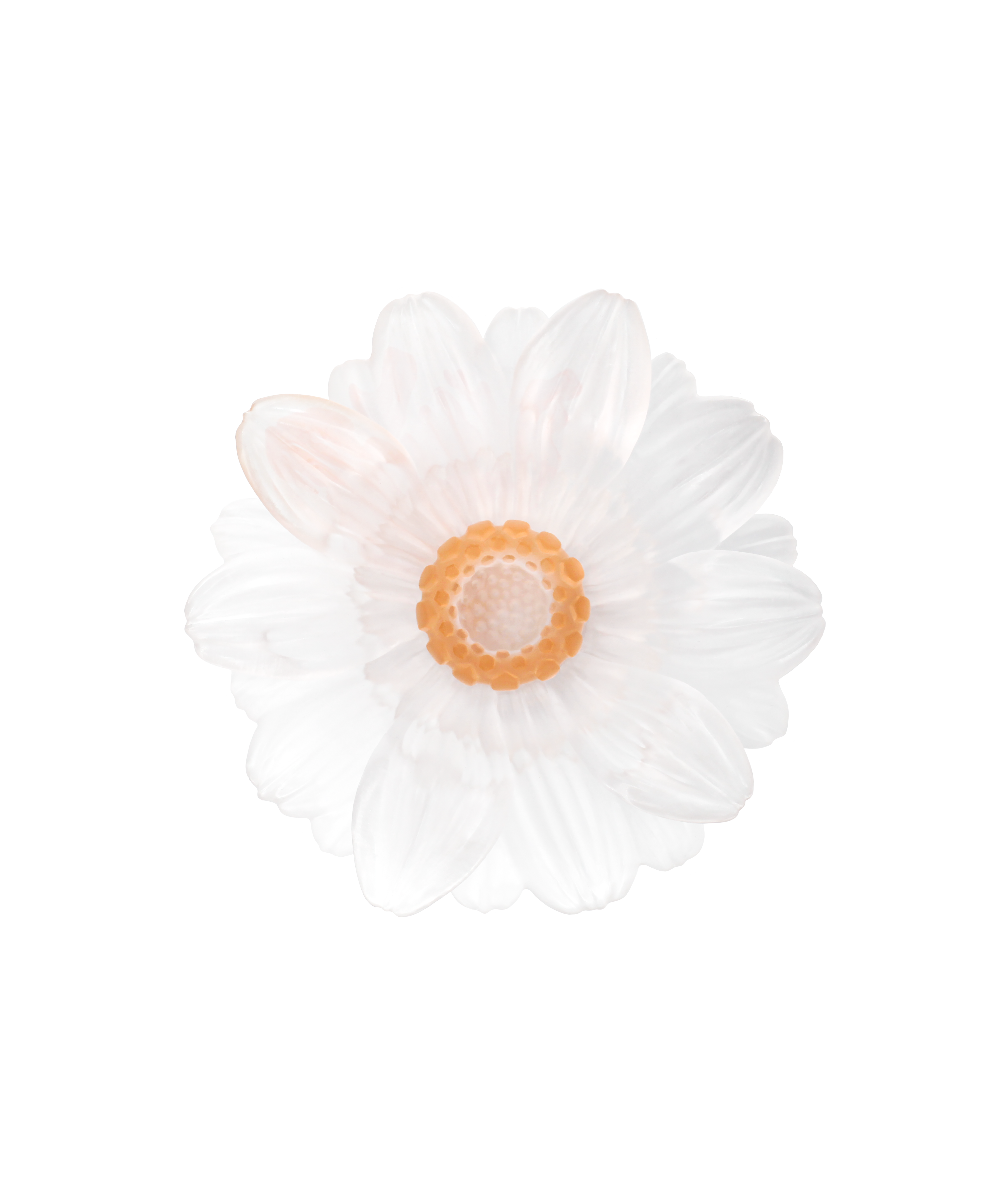 Or d'Abeille Fleur de présentation petit modèle blanche