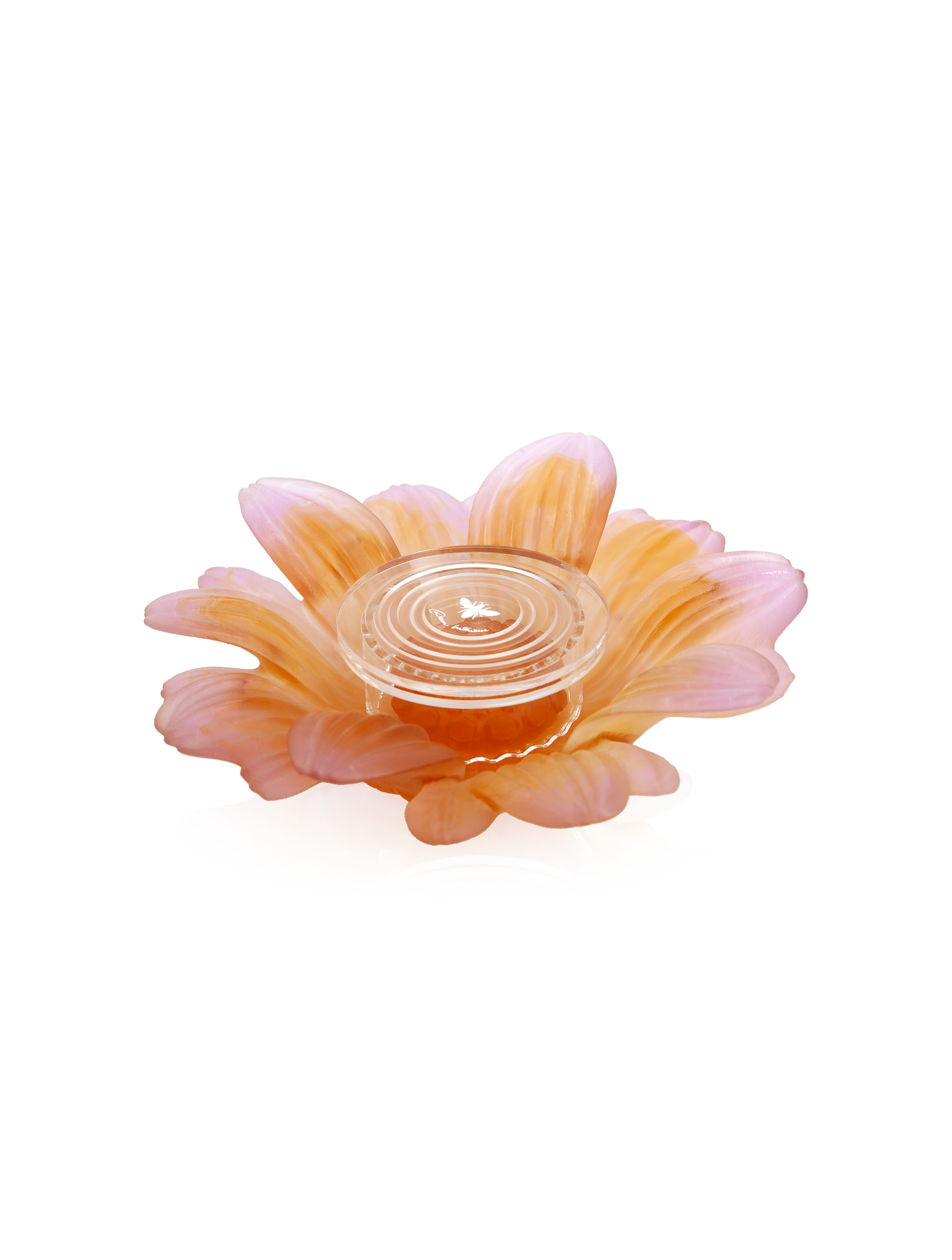 Or d'Abeille Fleur de présentation petit modèle blanche