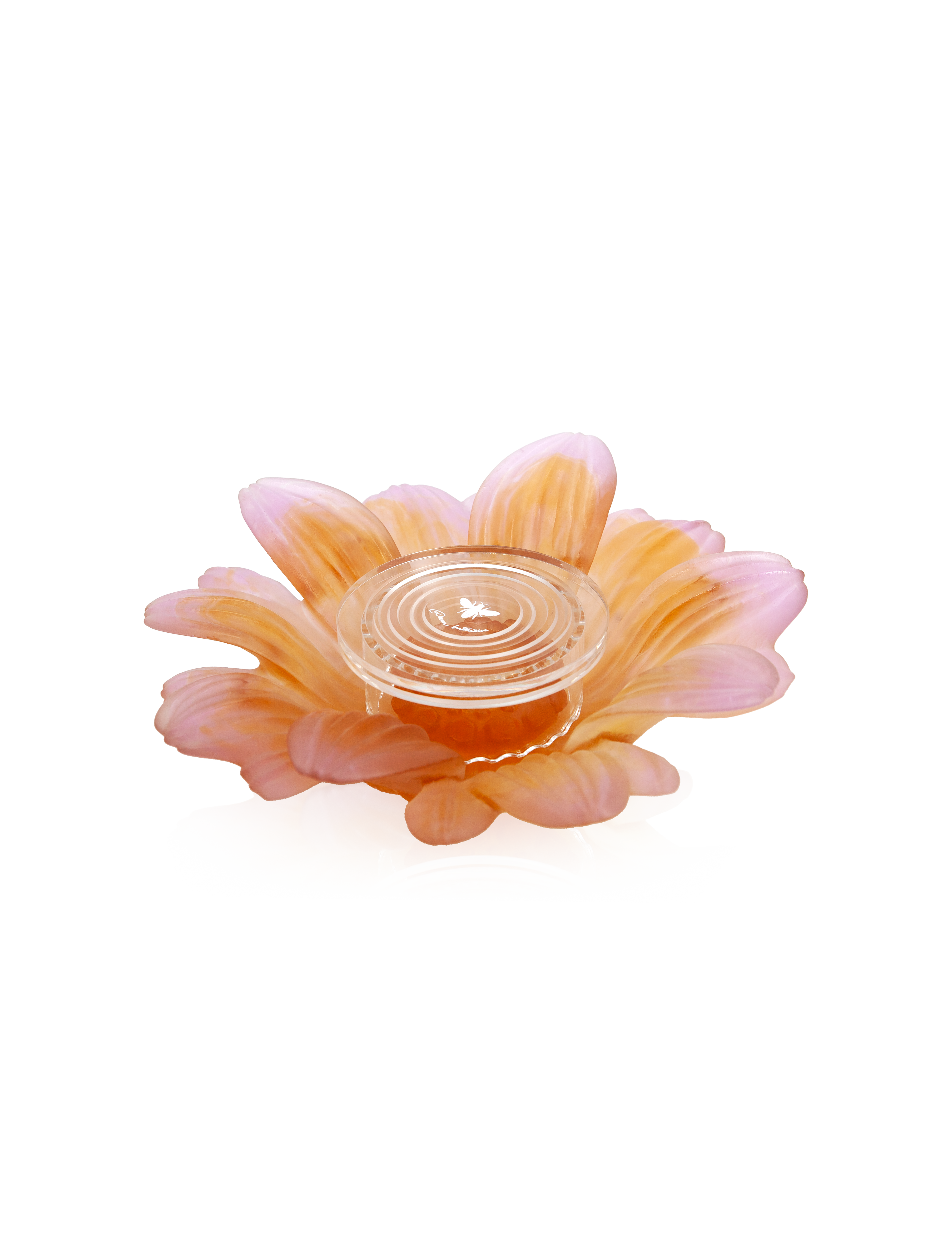 Or d'Abeille Fleur de présentation petit modèle blanche