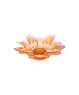 Or d'Abeille Fleur de présentation petit modèle en ambre-rose de Daum Intérieur, bijou décoratif en forme de fleur d'abeille