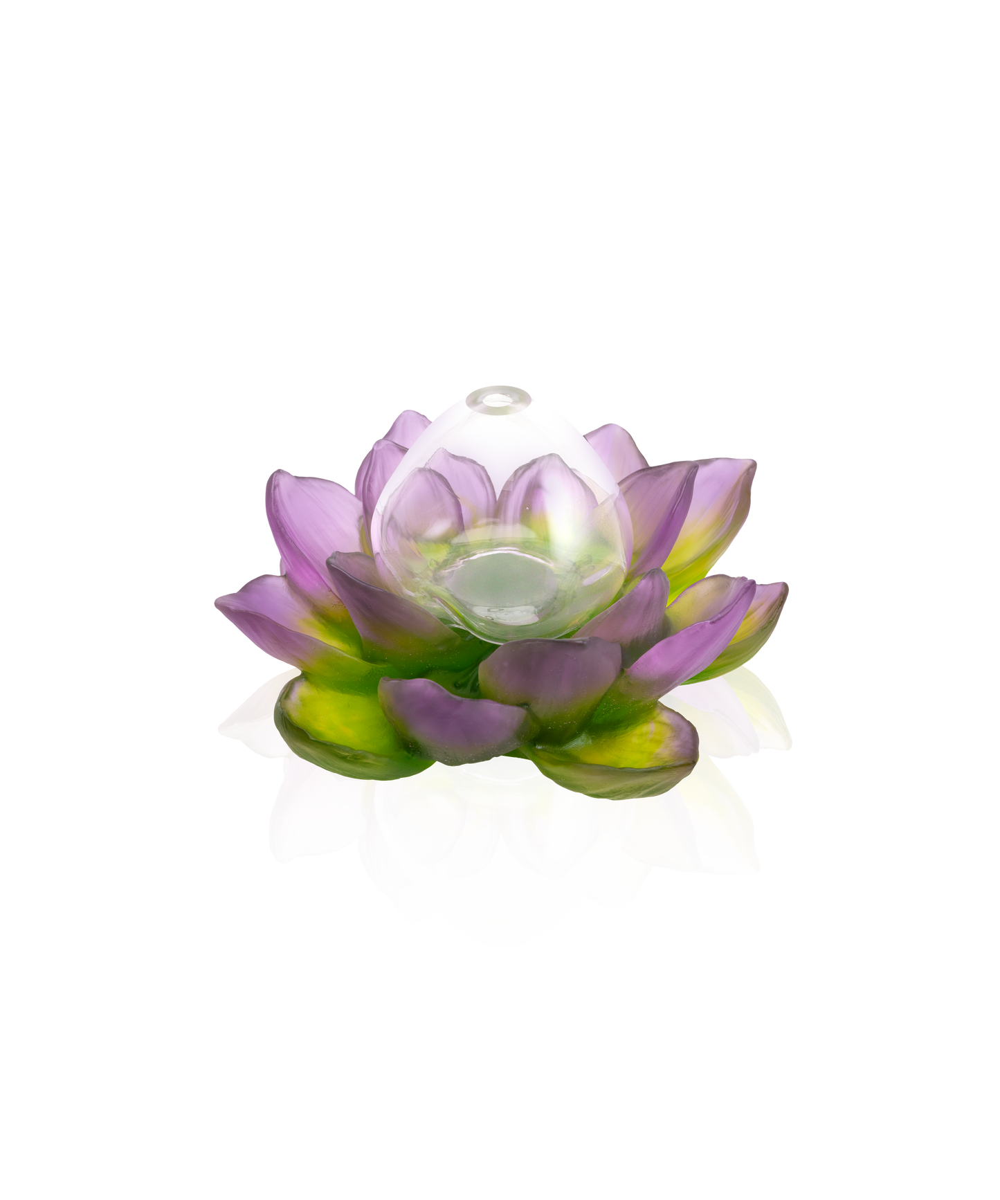 Jardin de Lotus Soliflore Purple-green