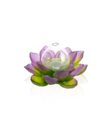 Jardin de Lotus Soliflore Violet-vert