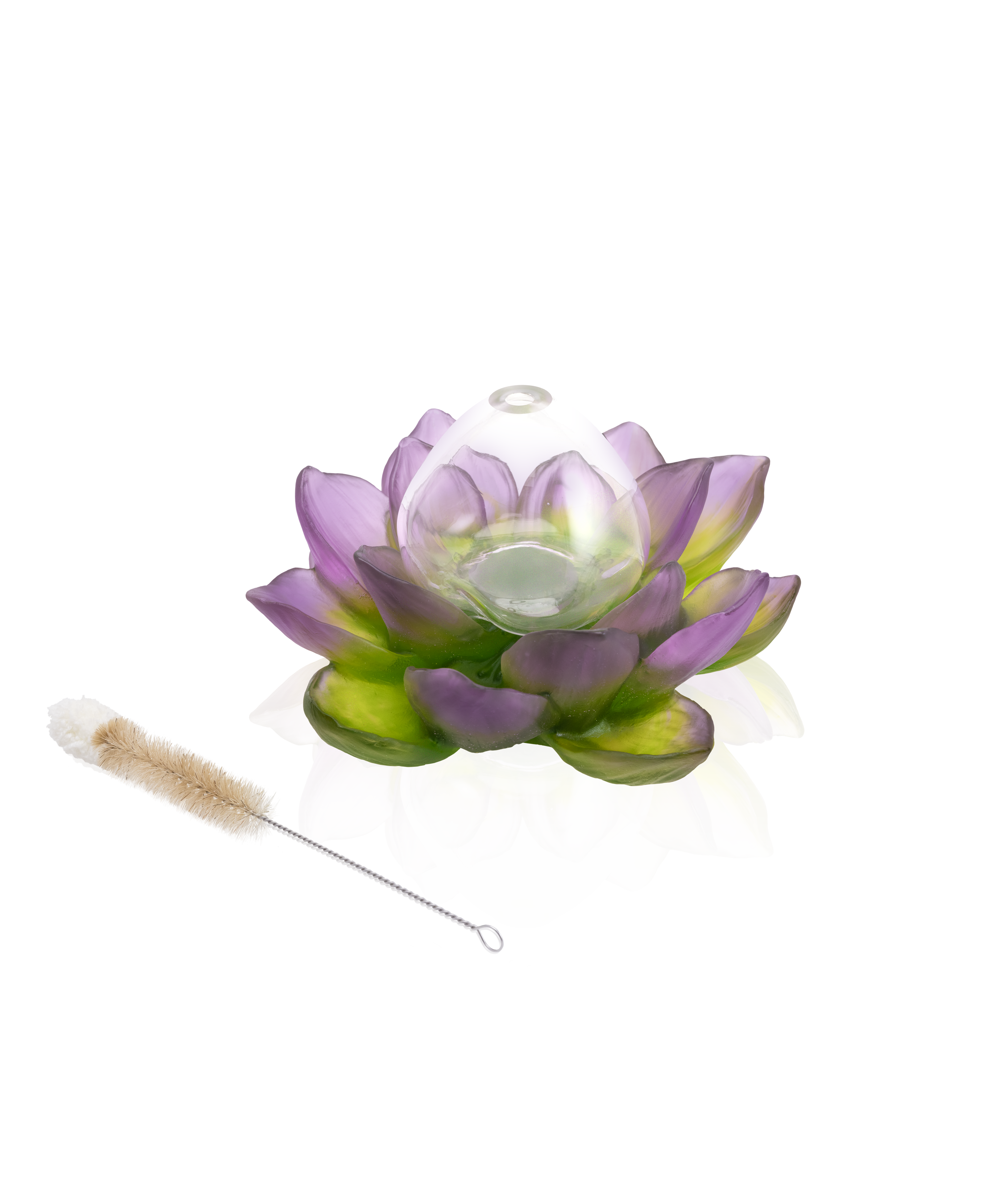 Jardin de Lotus Soliflore Violet-vert