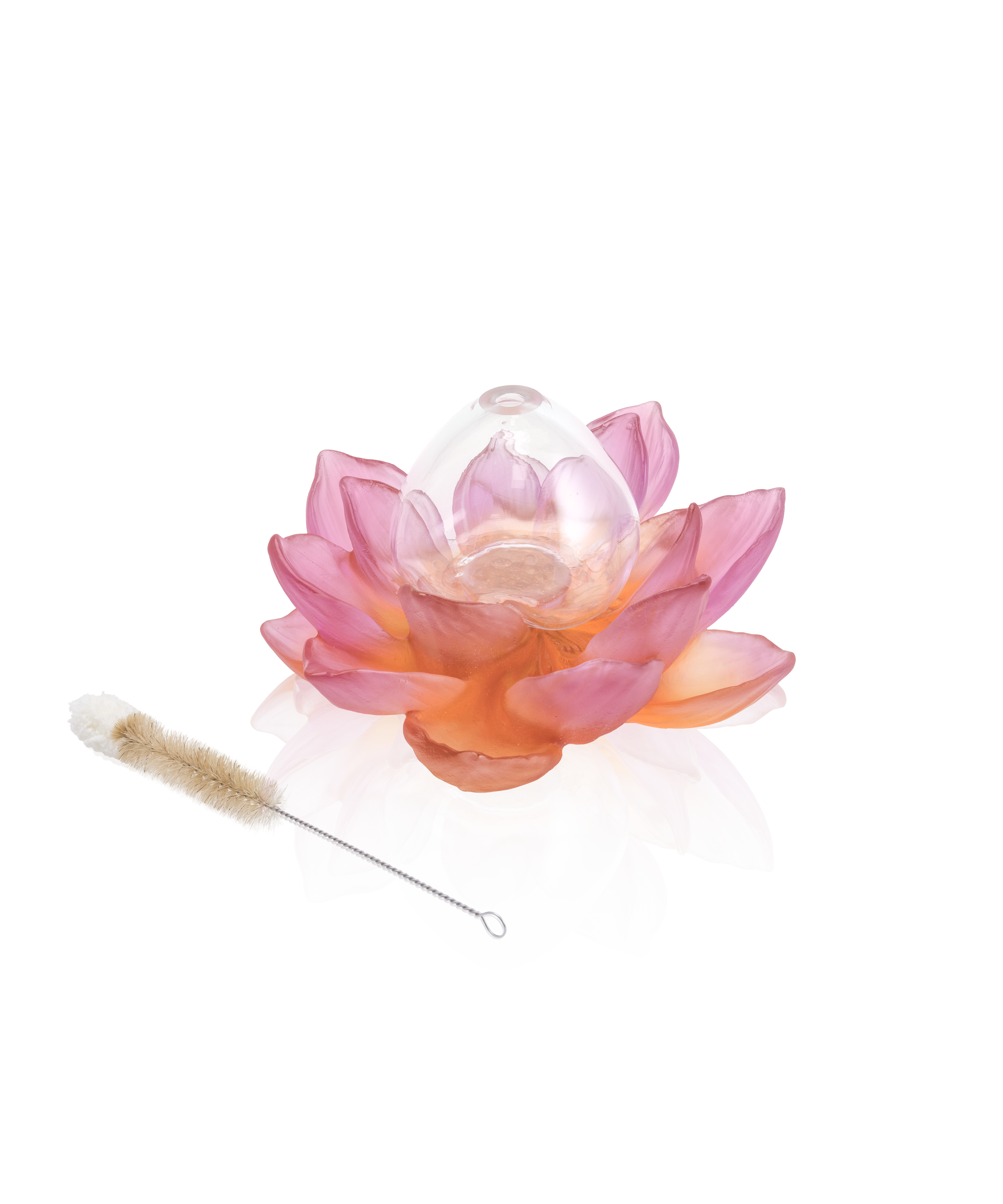 Jardin de Lotus Soliflore Ambre-rose