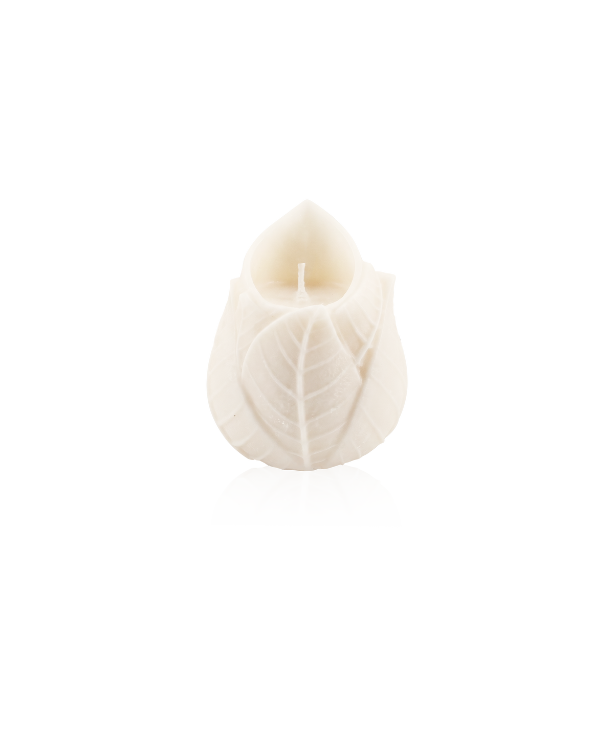 Deux bougies sculptées Végétale de Daum Intérieur dans un coffret élégant, détails floraux et texture naturelle visibles.