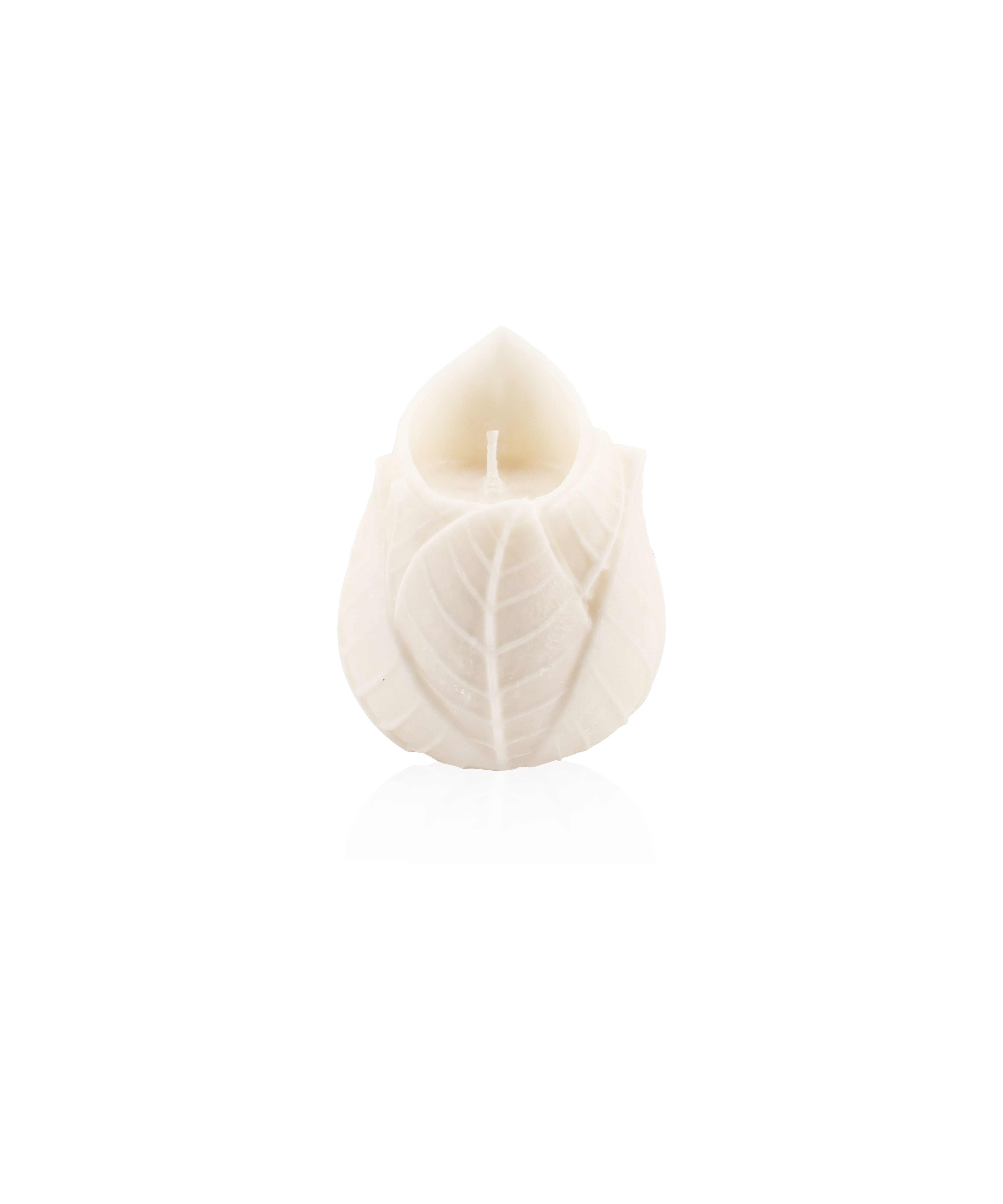 Deux bougies sculptées Végétale de Daum Intérieur dans un coffret élégant, détails floraux et texture naturelle visibles.