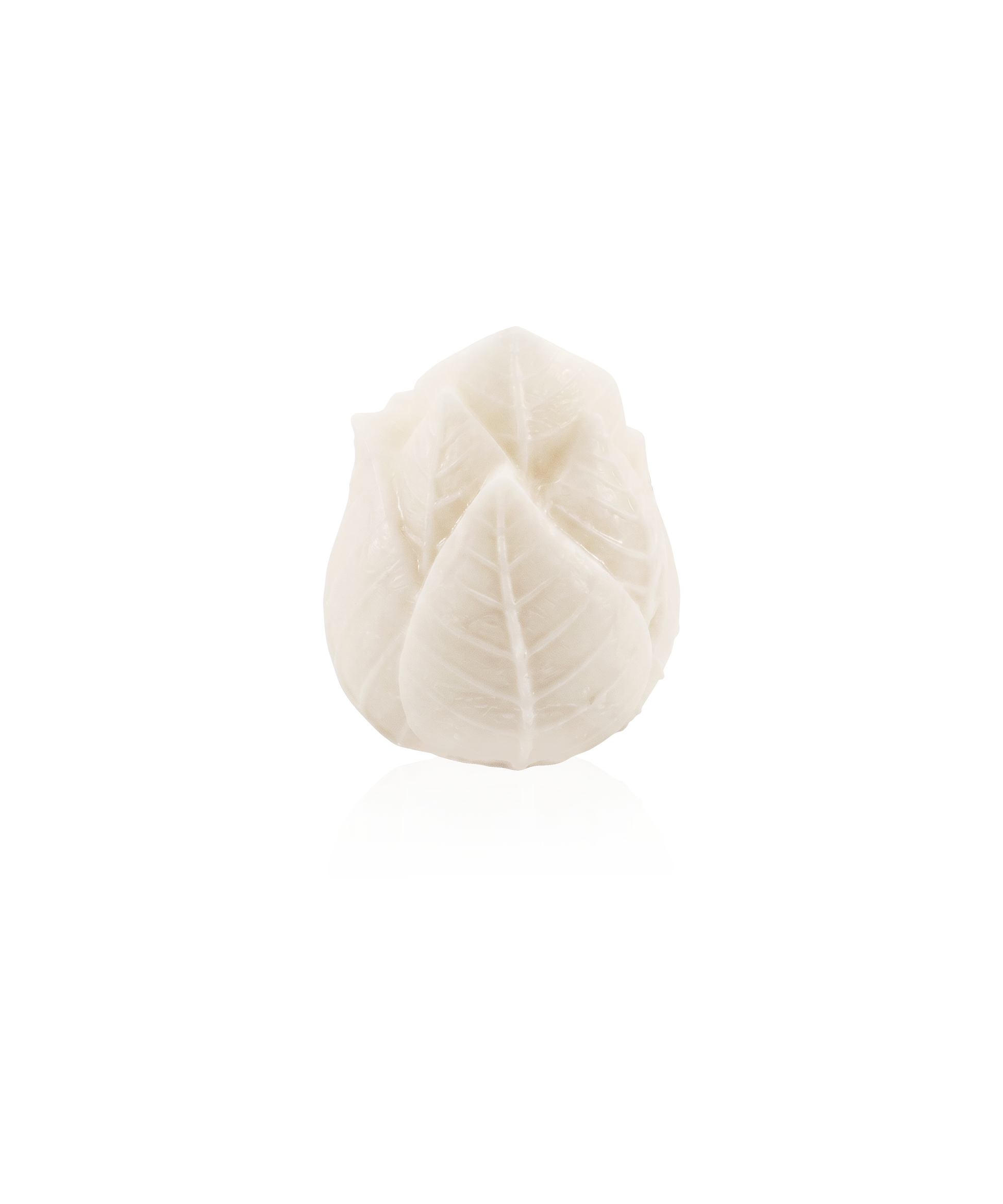 Deux bougies sculptées Végétale de Daum Intérieur dans un coffret élégant, avec détails floraux et végétaux.