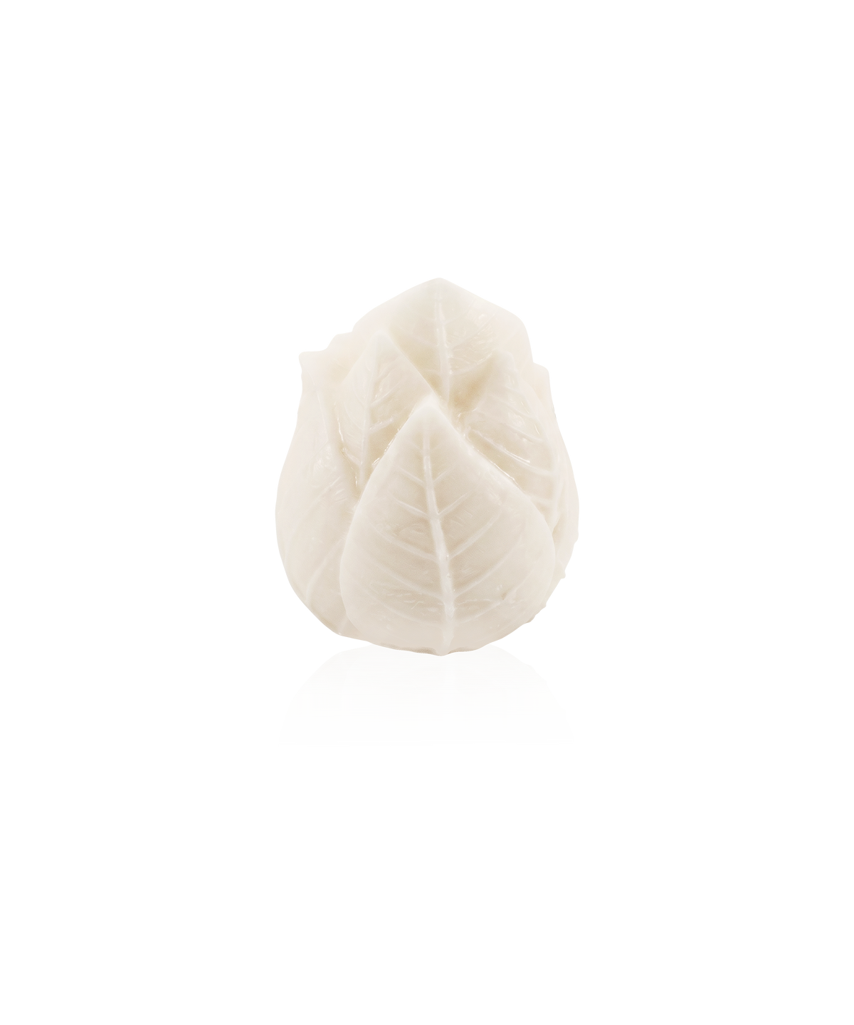 Deux bougies sculptées Végétale de Daum Intérieur dans un coffret élégant, avec détails floraux et végétaux.