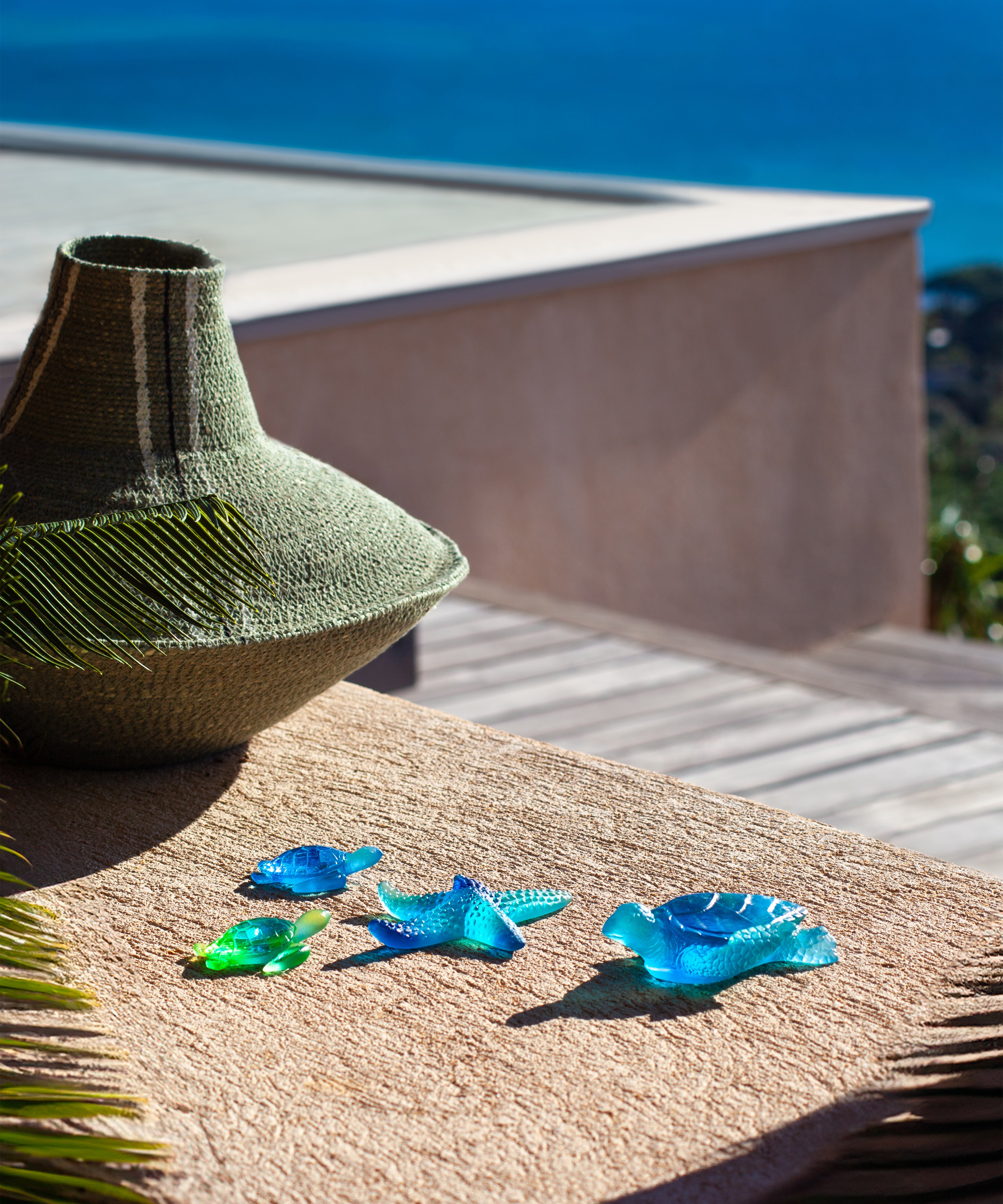 Mini tortue Turquoise