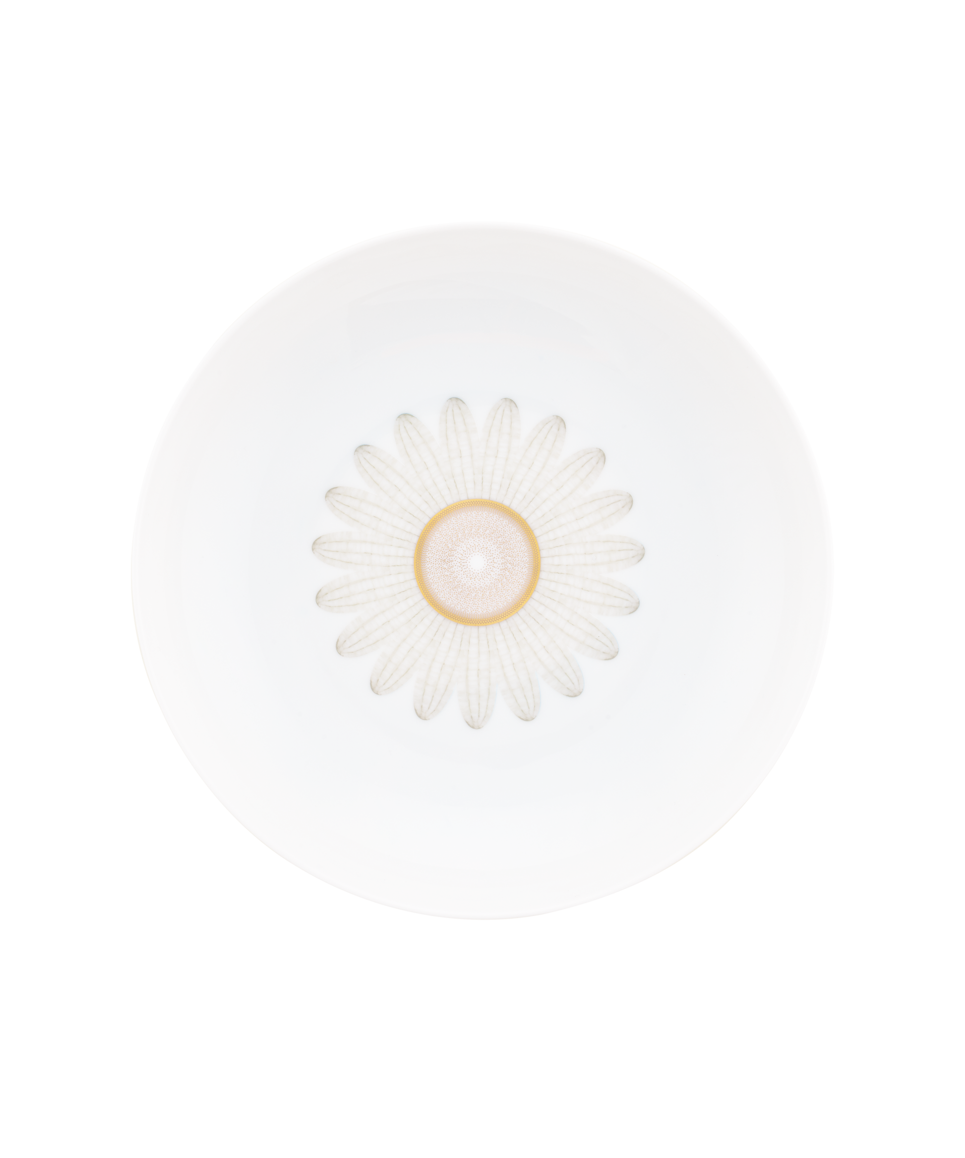 Assiette creuse calotte Or d'Abeille, coffret de 2 assiettes en porcelaine de la marque Daum Intérieur.