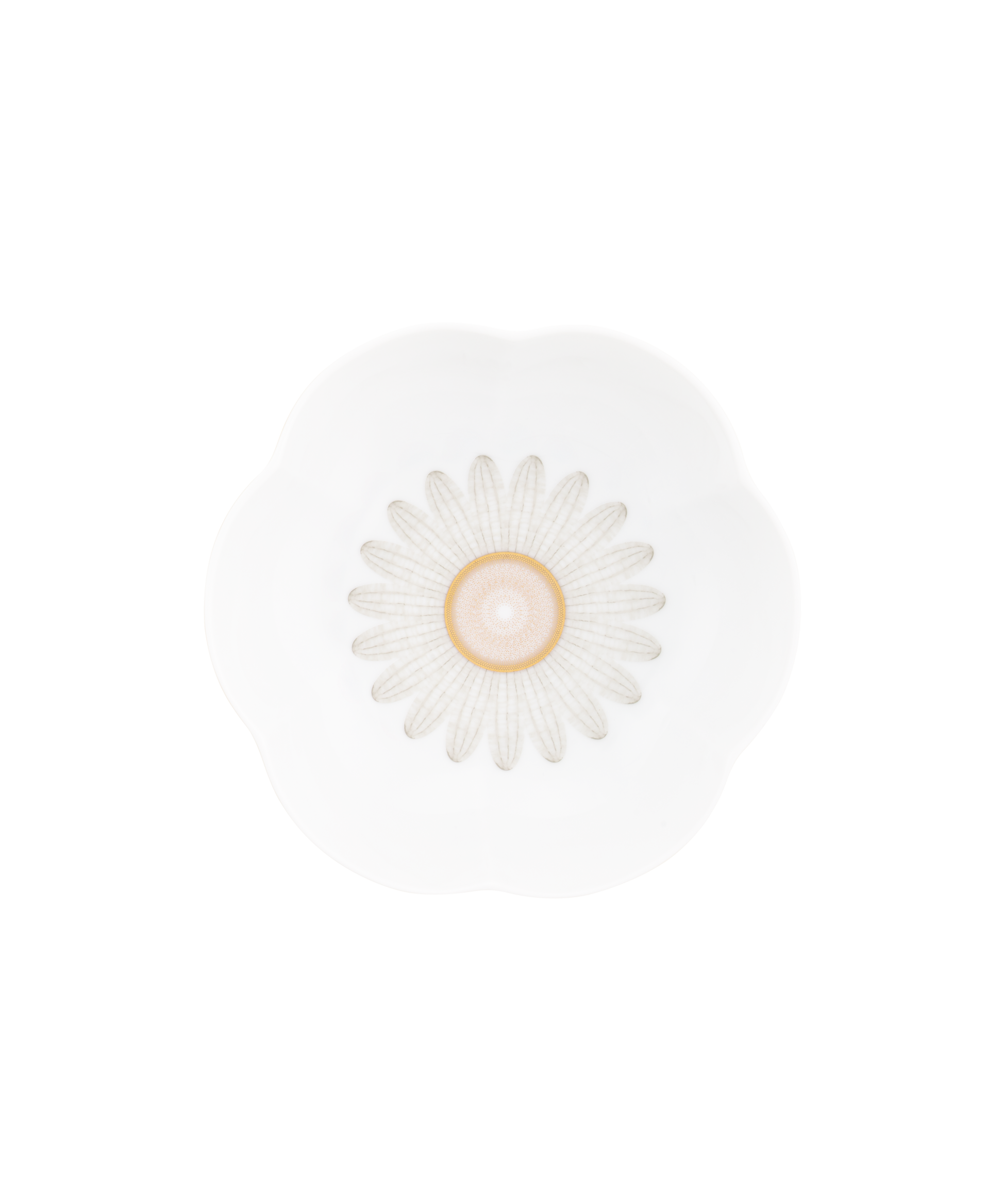 Deux coupes saveur fleur en or d'abeille de la marque Daum Intérieur, élégantes et délicates, sur fond neutre.