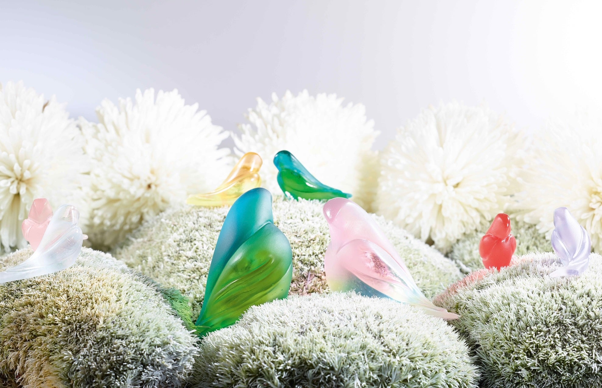 Oiseaux en cristal - Collection élégante | Daum