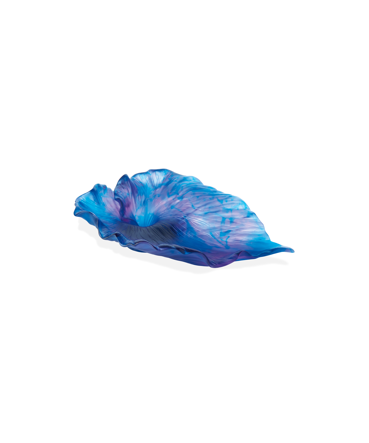 Arum Coupe Bleu nuit - Daum