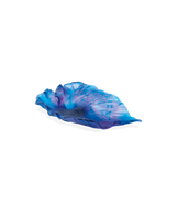 Arum Coupe Bleu nuit - Daum