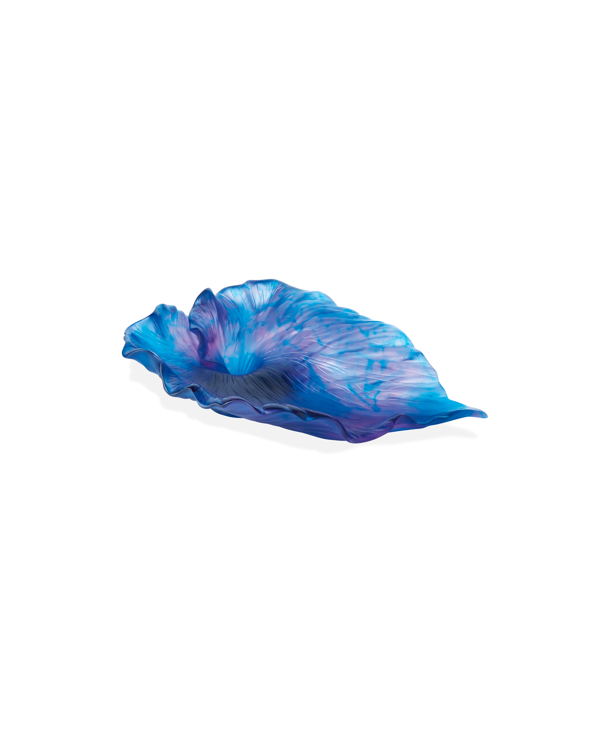 Arum Coupe Bleu nuit - Daum