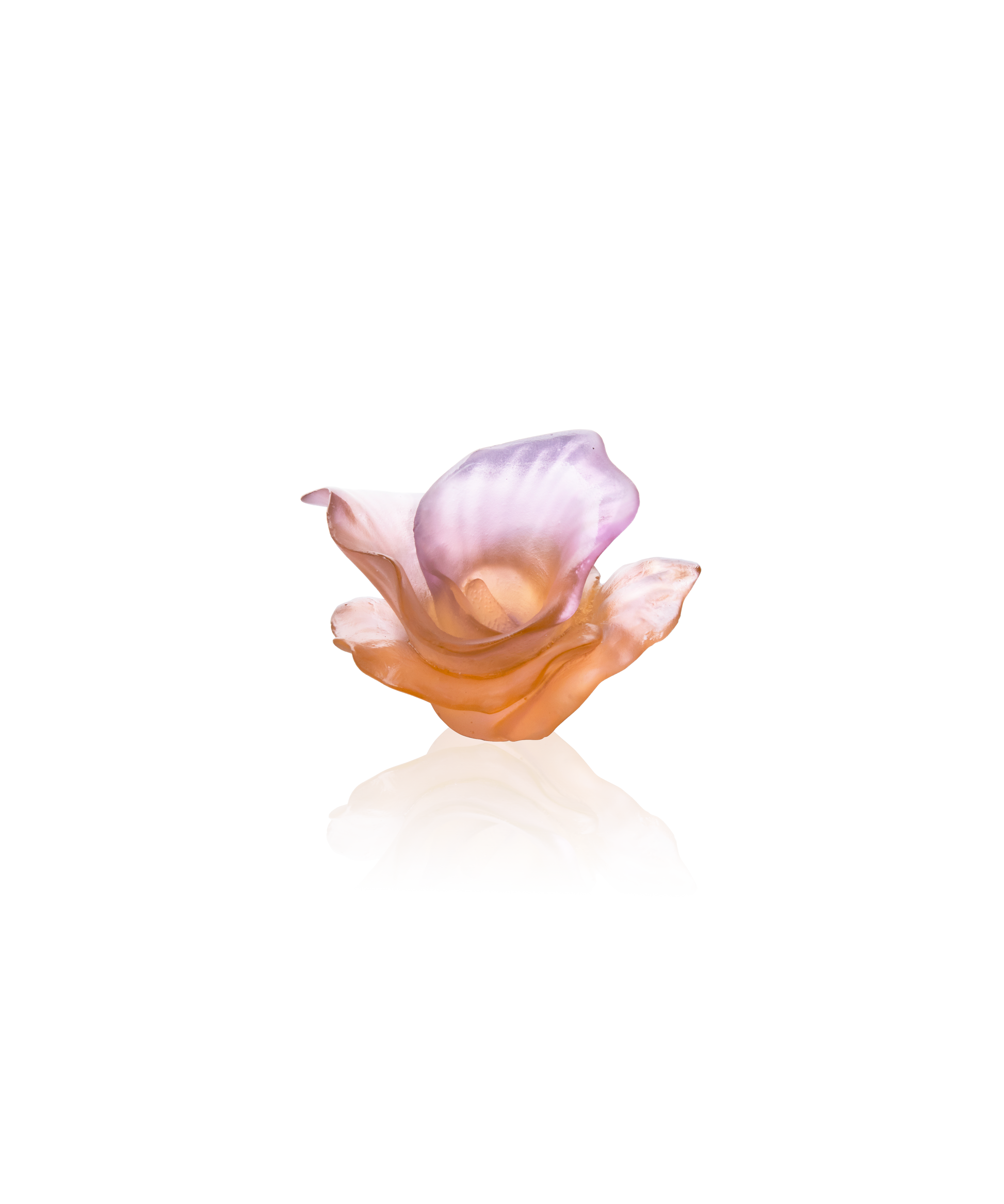 Arum Fleur décorative Ambre-rose - Daum