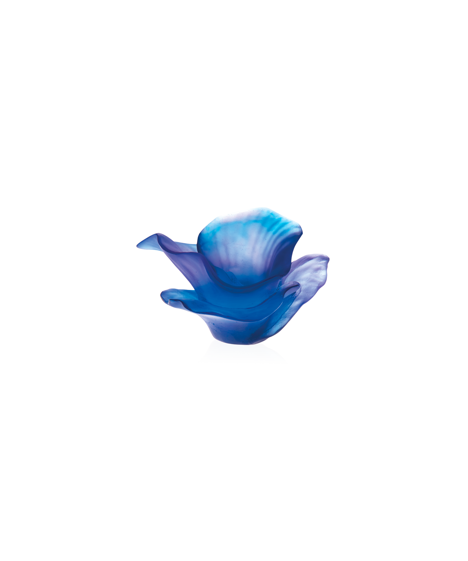 Arum Fleur décorative Bleu nuit - Daum