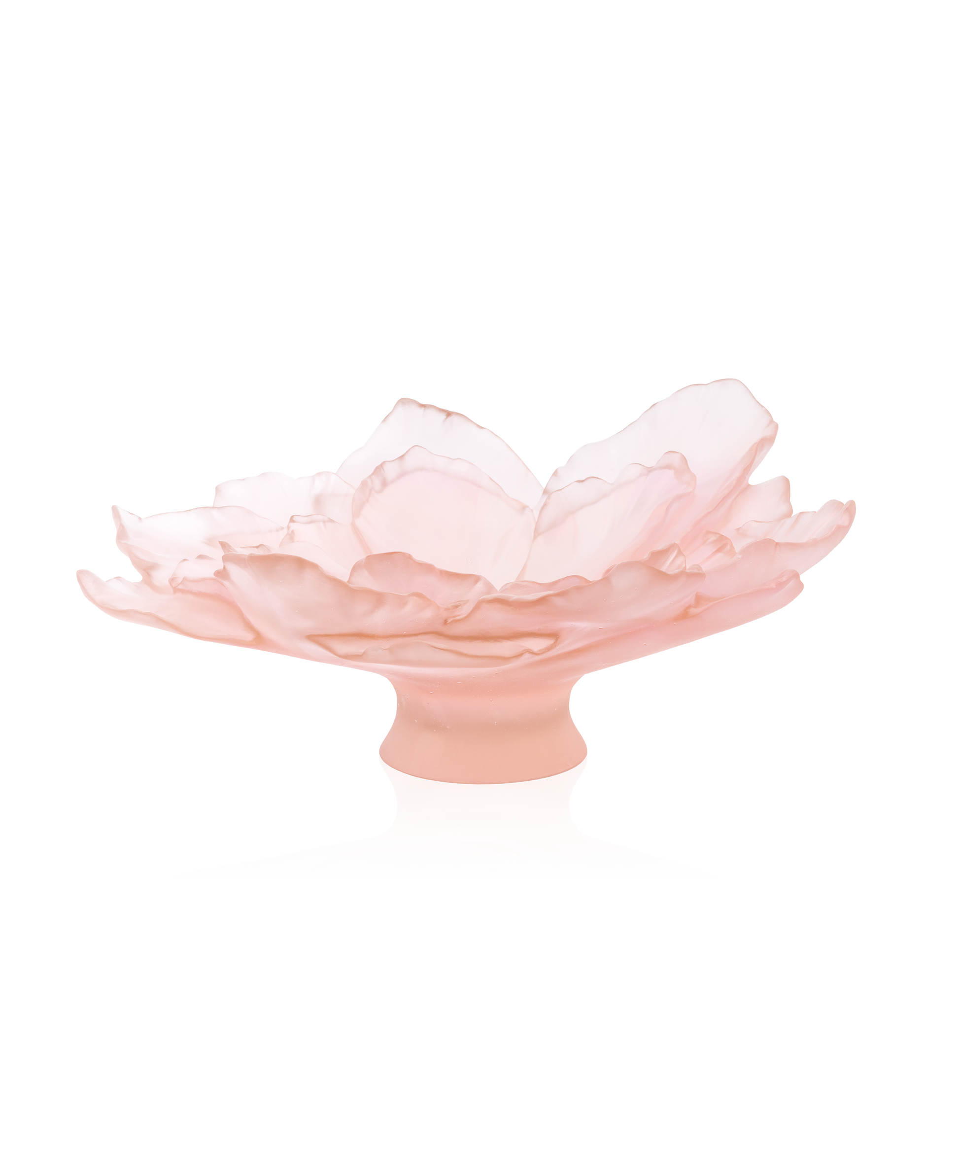 Camelia Coupe grand modèle Rose - Daum