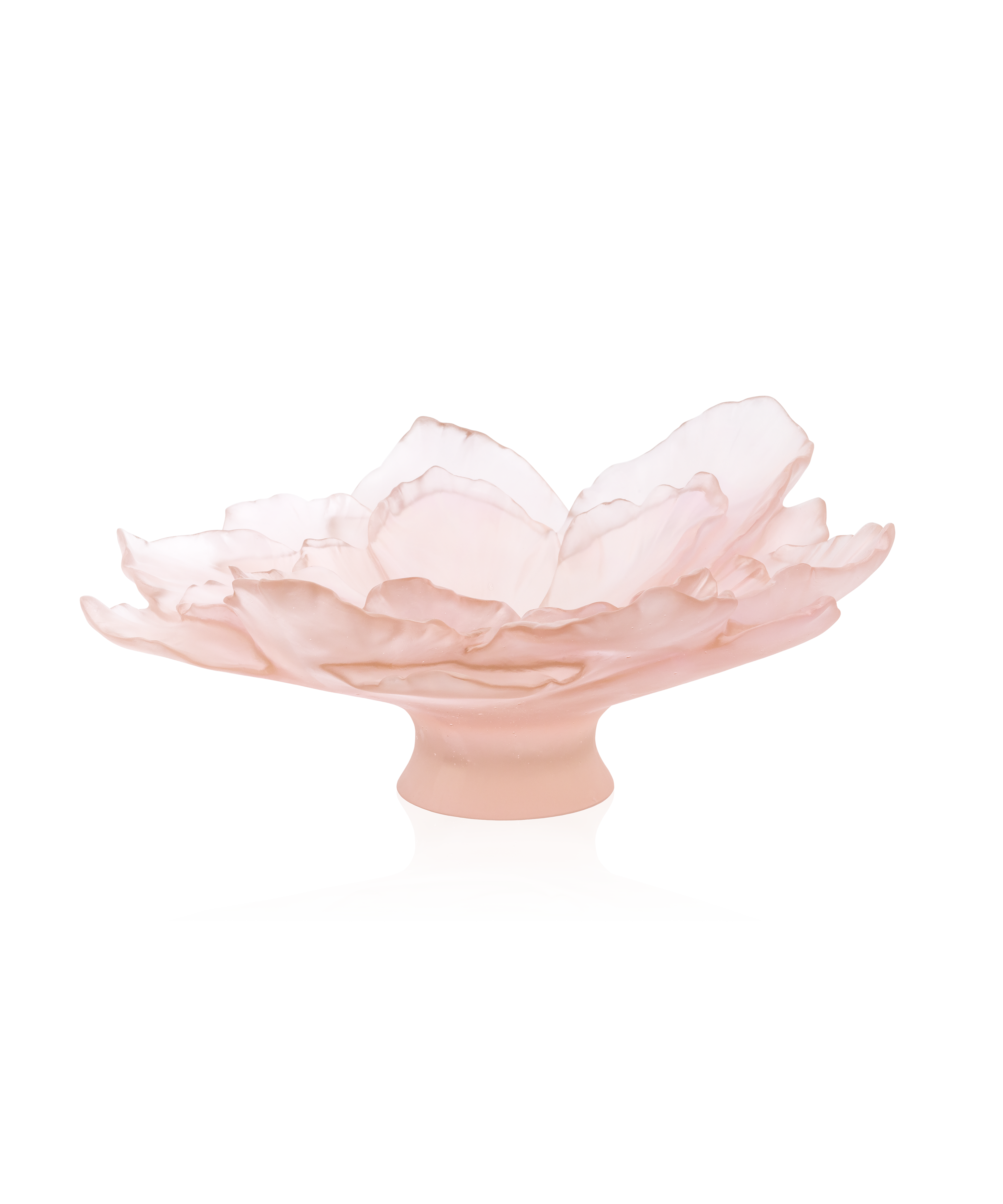 Camelia Coupe grand modèle Rose - Daum