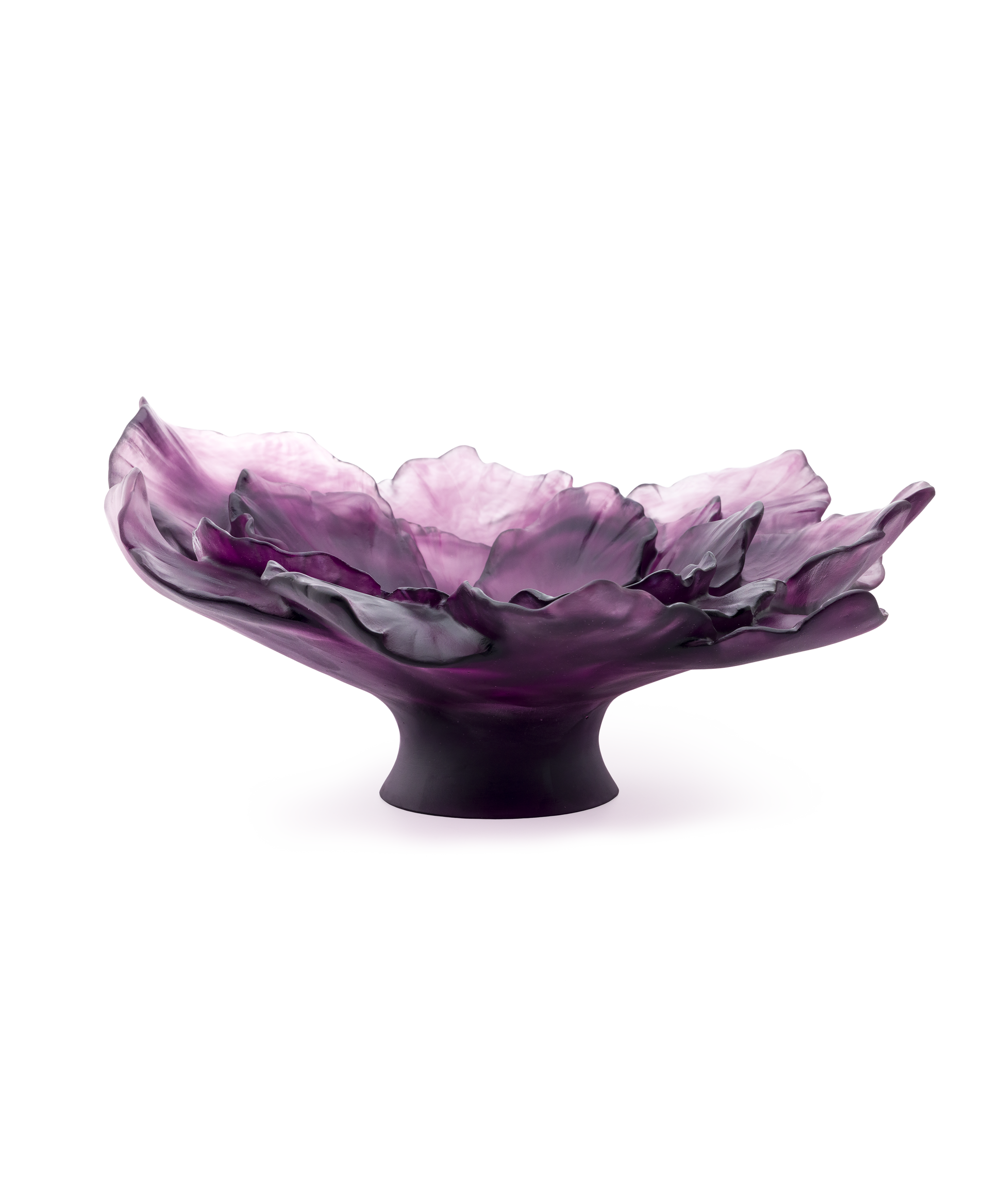 Camelia Coupe grand modèle Violette - Daum