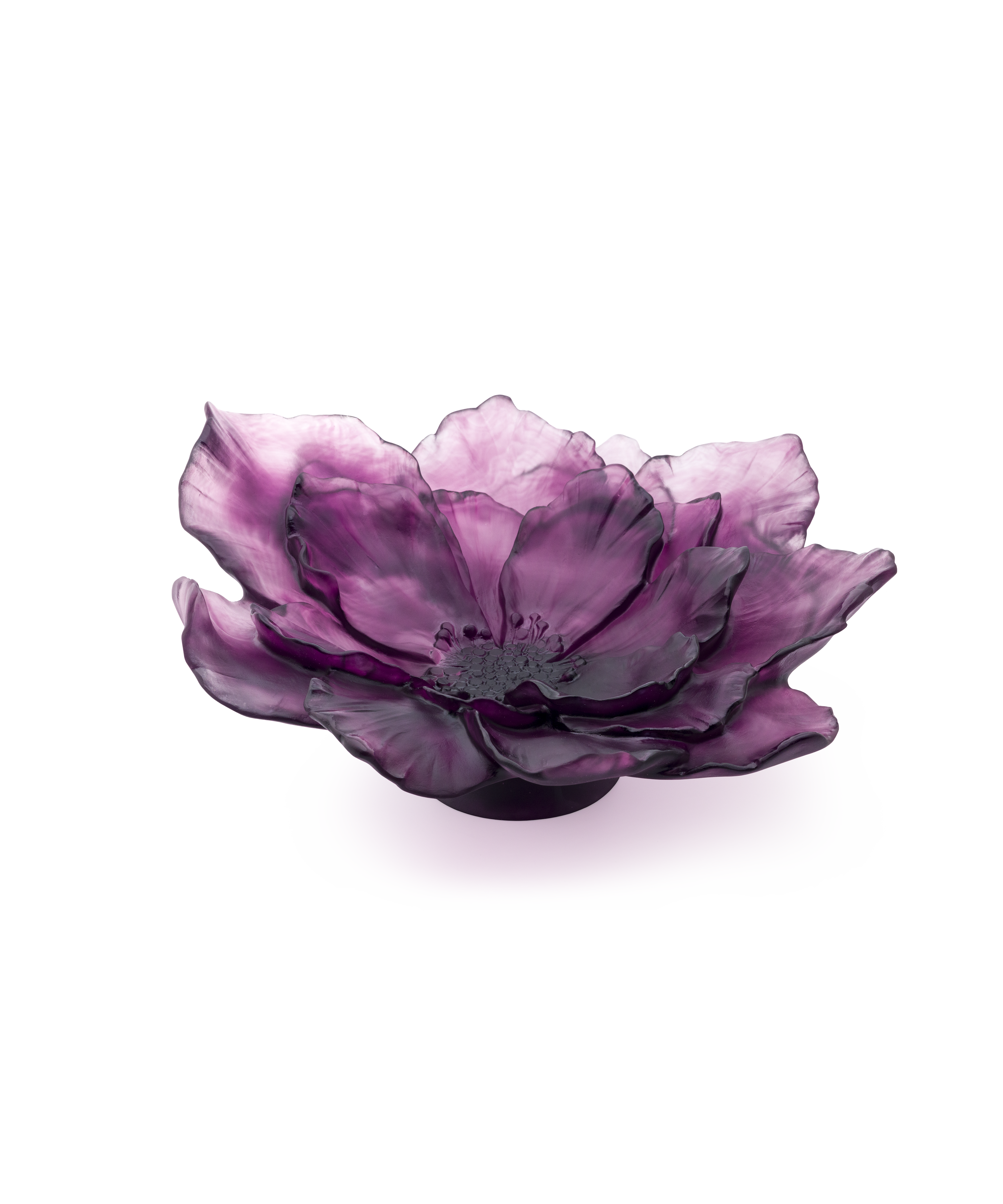 Camelia Coupe grand modèle Violette - Daum