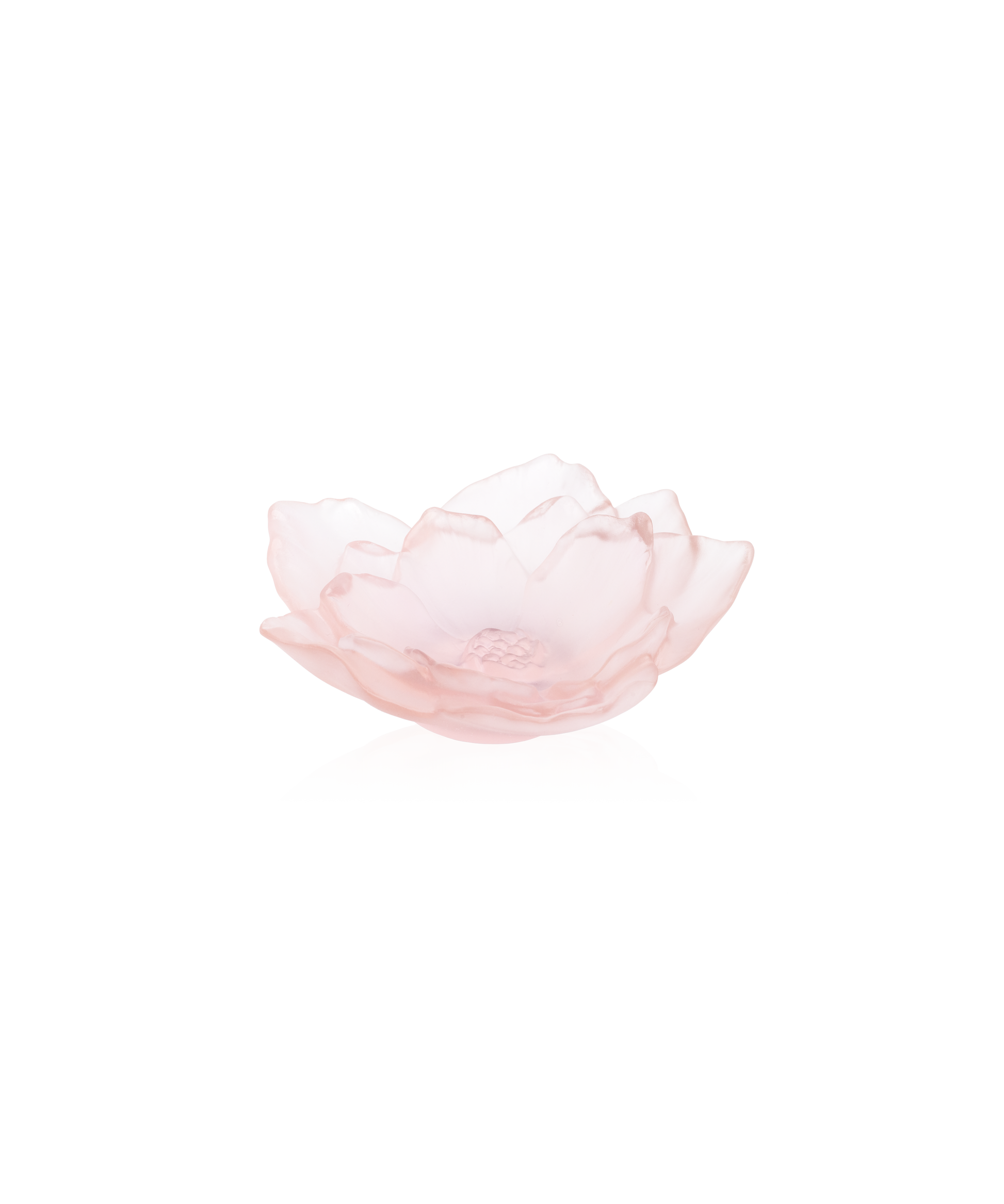 Vase petit modèle Camélia Daum en verre rose avec motif floral délicat, élégant et fin, visible en détail.