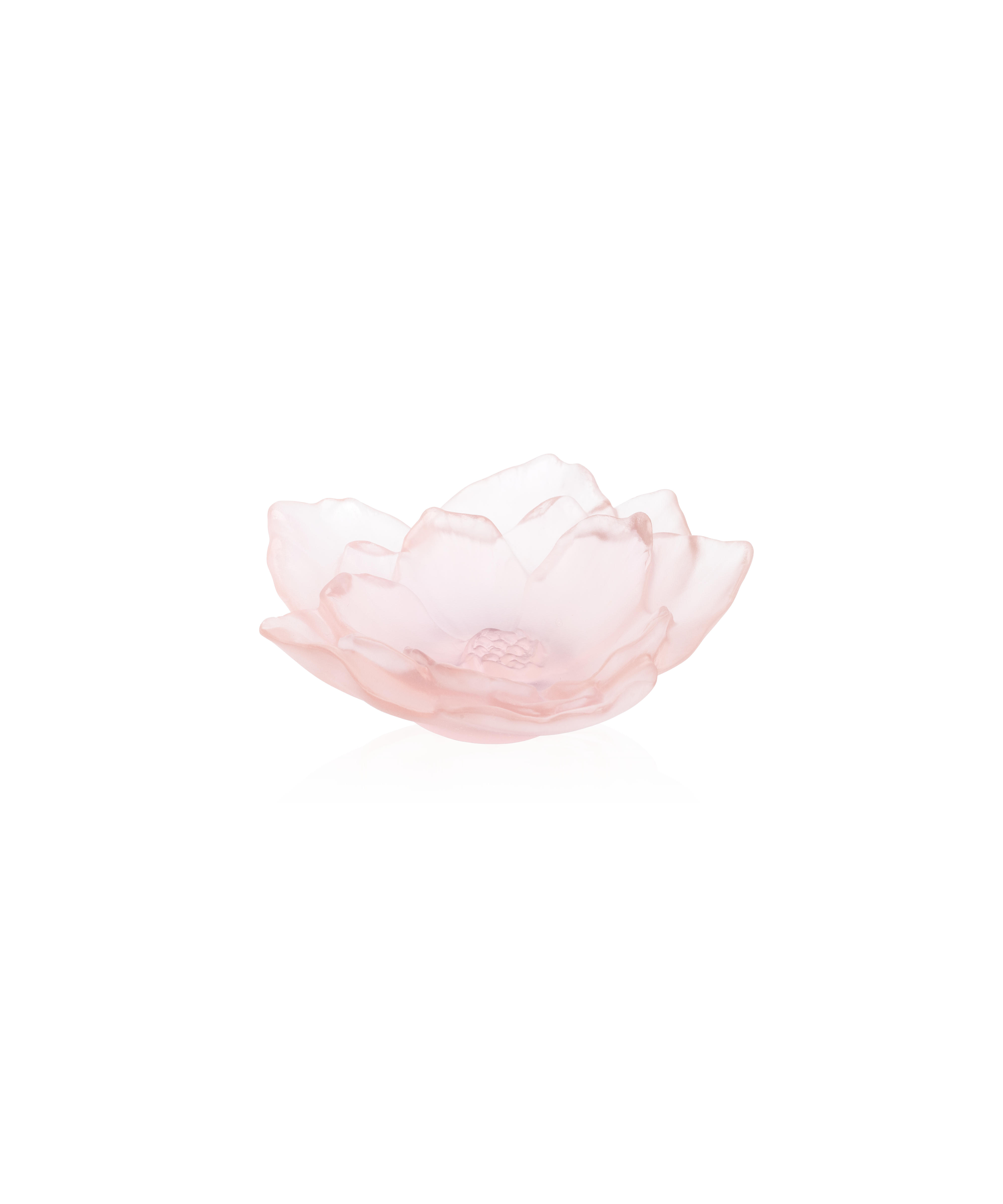 Vase Daum Camélia Coupe petit modèle en verre rose avec motif floral délicat.
