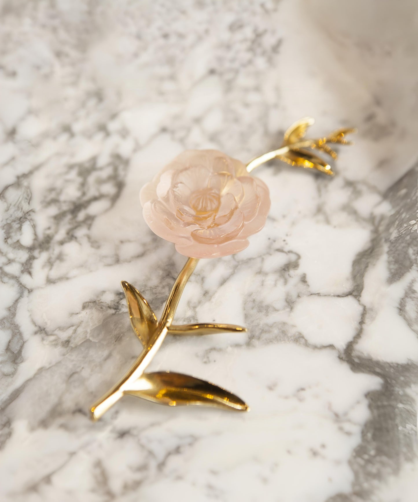 Camelia Fleur d'apparat Rose - Daum