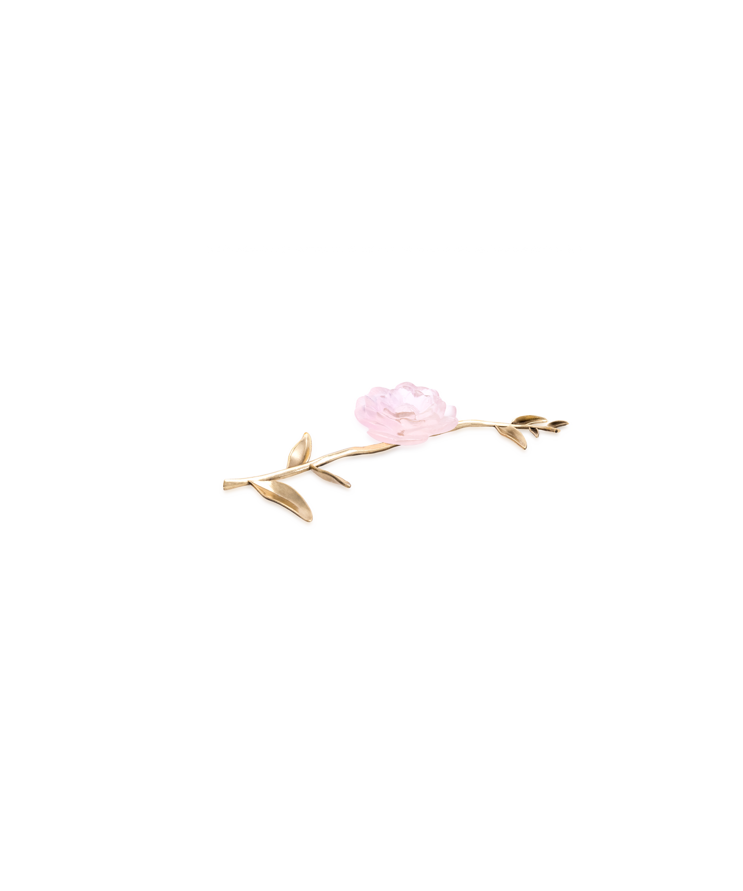 Camelia Fleur d'apparat Rose - Daum