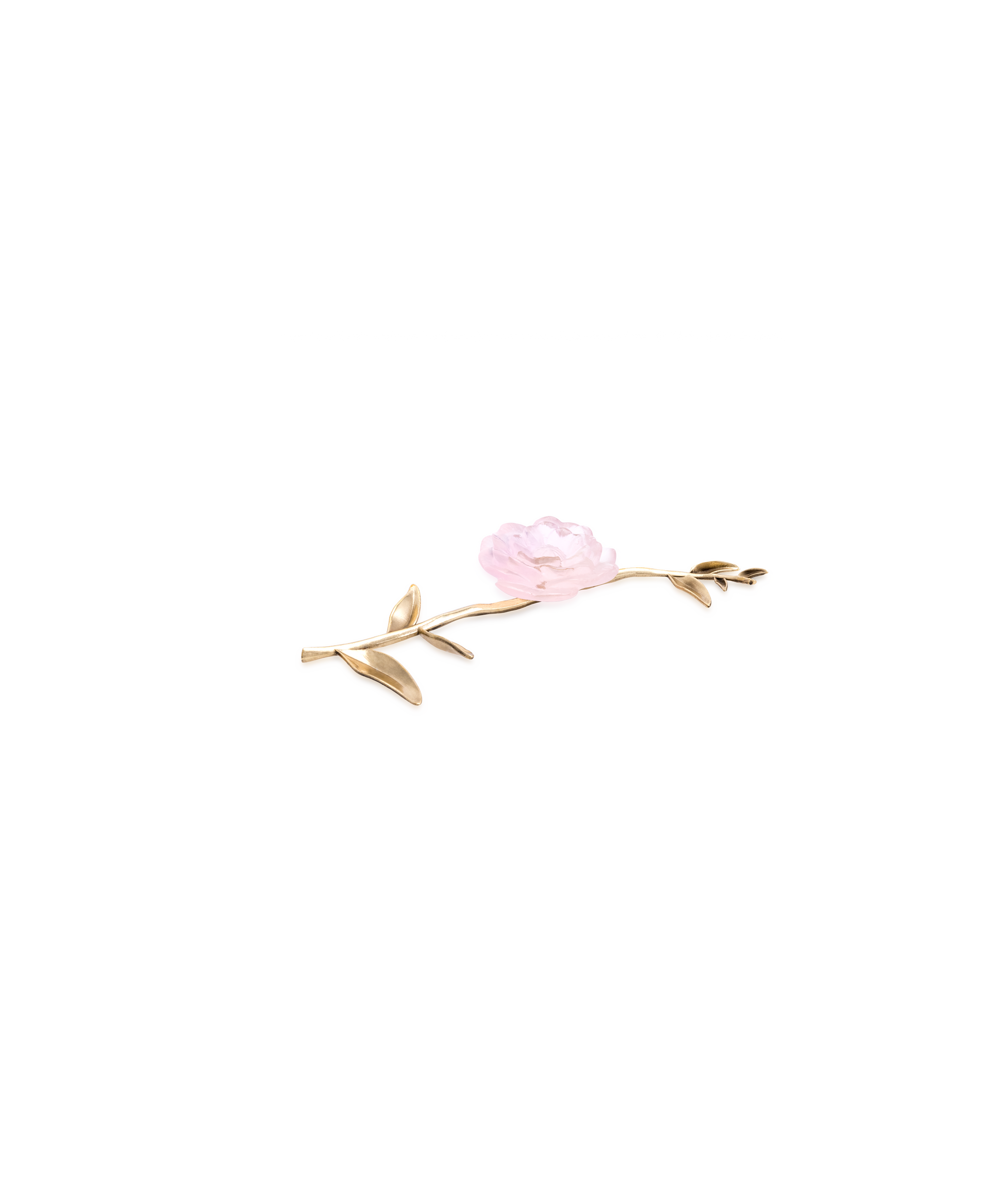 Camelia Fleur d'apparat Rose - Daum