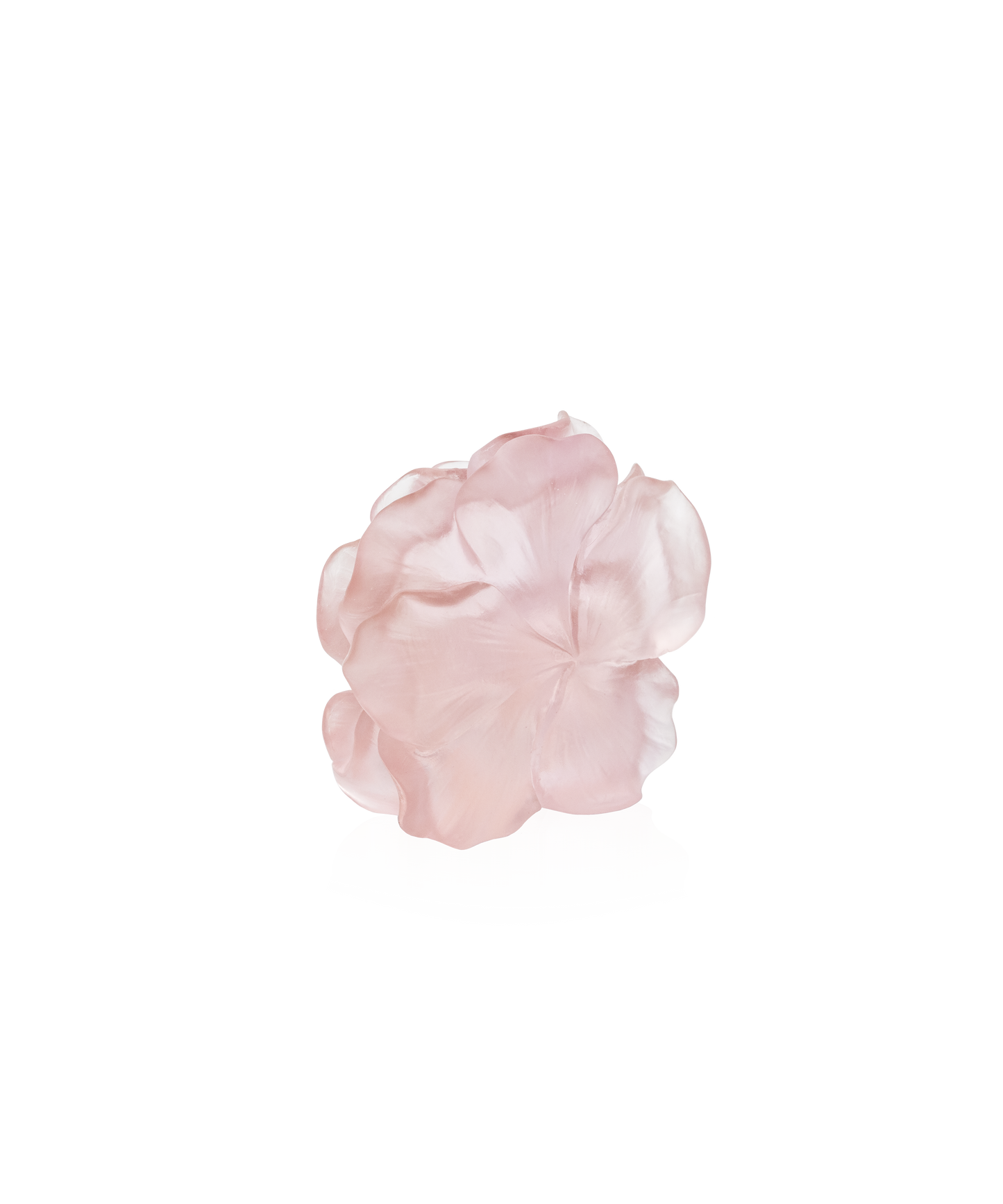 Rose décorative en céramique Camélia Fleur de la marque Daum, avec détails floraux élégants et finition raffinée.