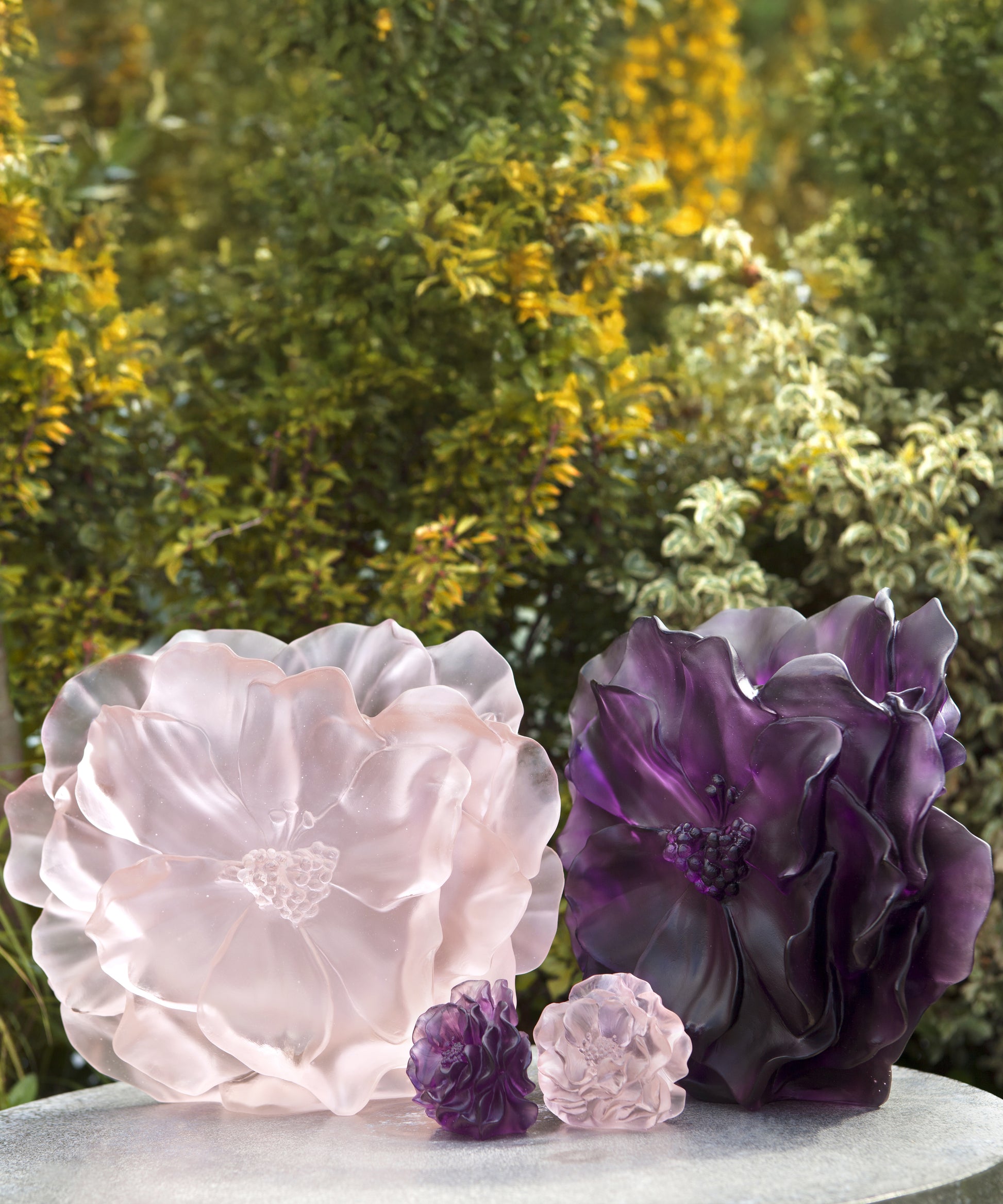 Fleur décorative Camélia Rose en verre Daum, motif élégant et coloré, avec détails raffinés sur la surface.