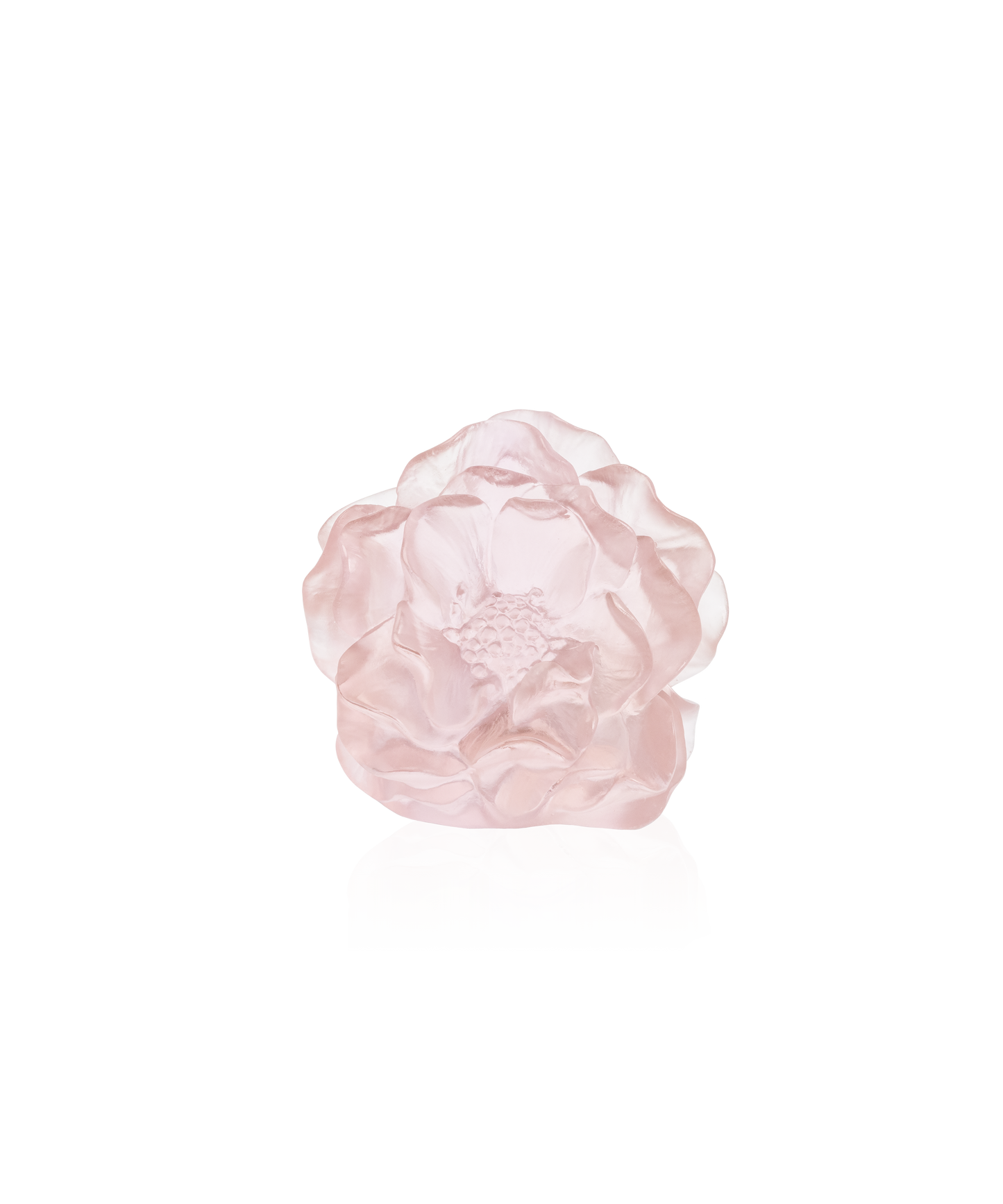 Flacon en verre Daum avec fleur de camélia décorative en rose, art en cristal élégant et finement travaillé.