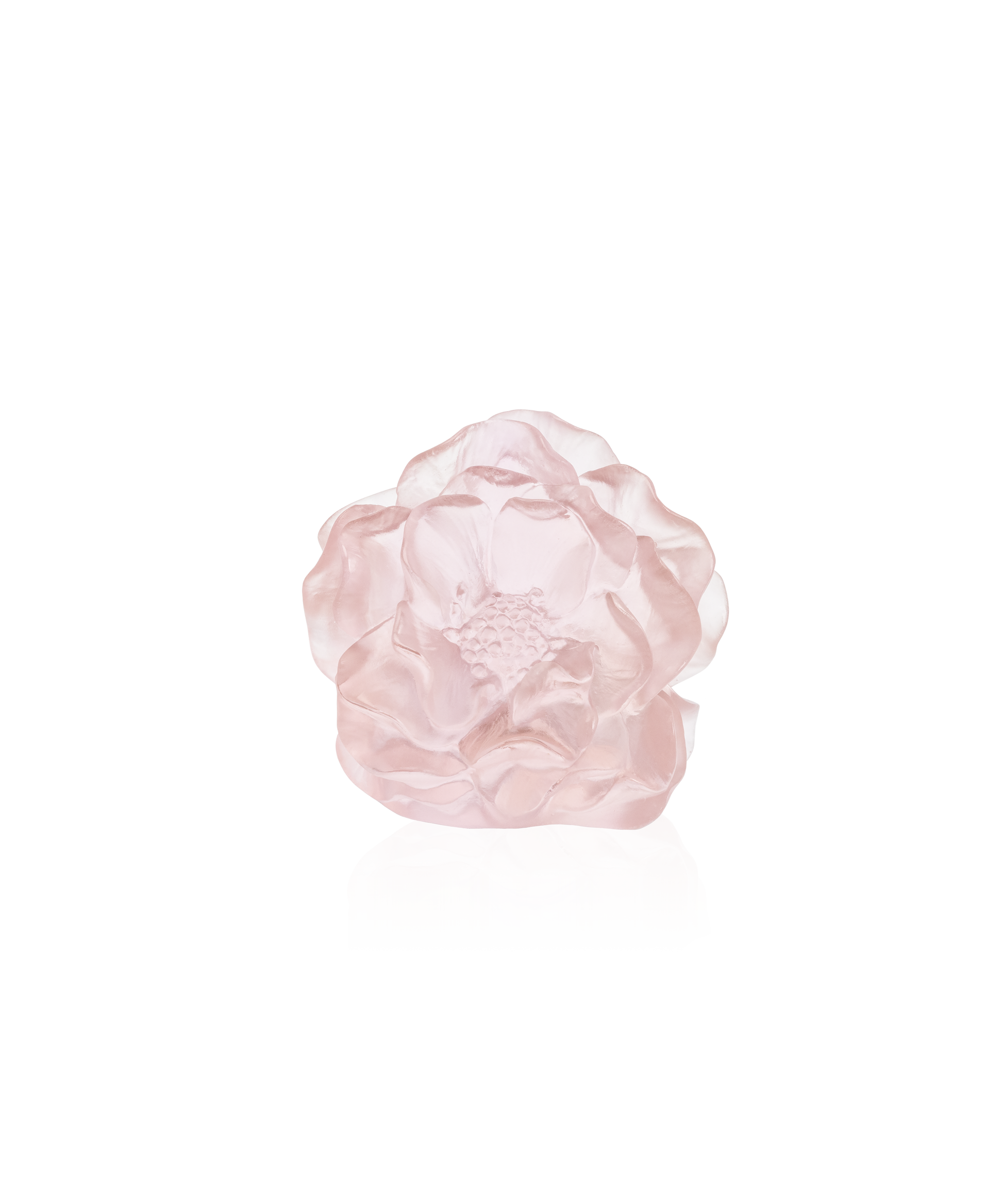 Flacon en verre Daum avec fleur de camélia décorative en rose, art en cristal élégant et finement travaillé.