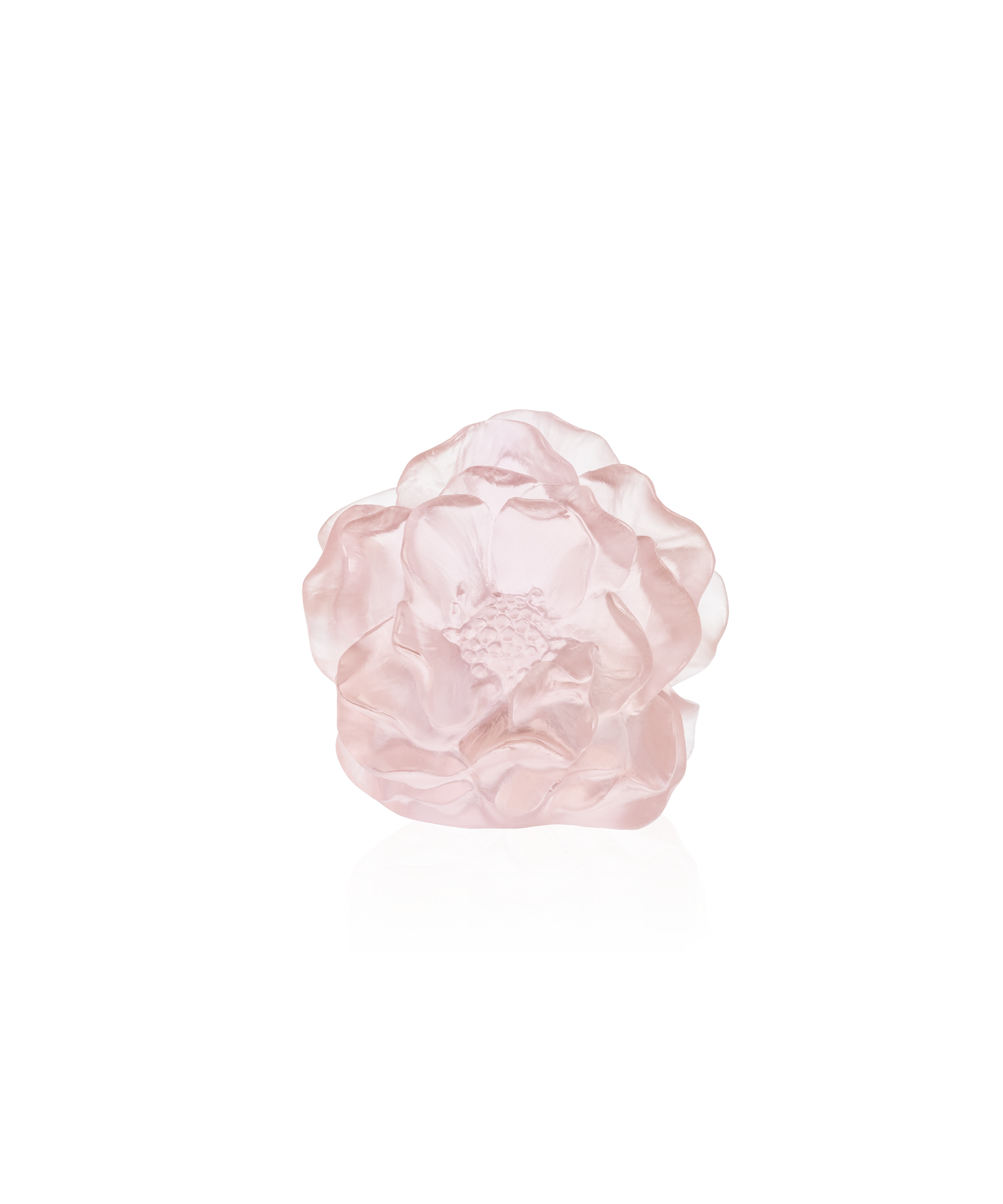 Camelia Fleur décorative Rose - Daum