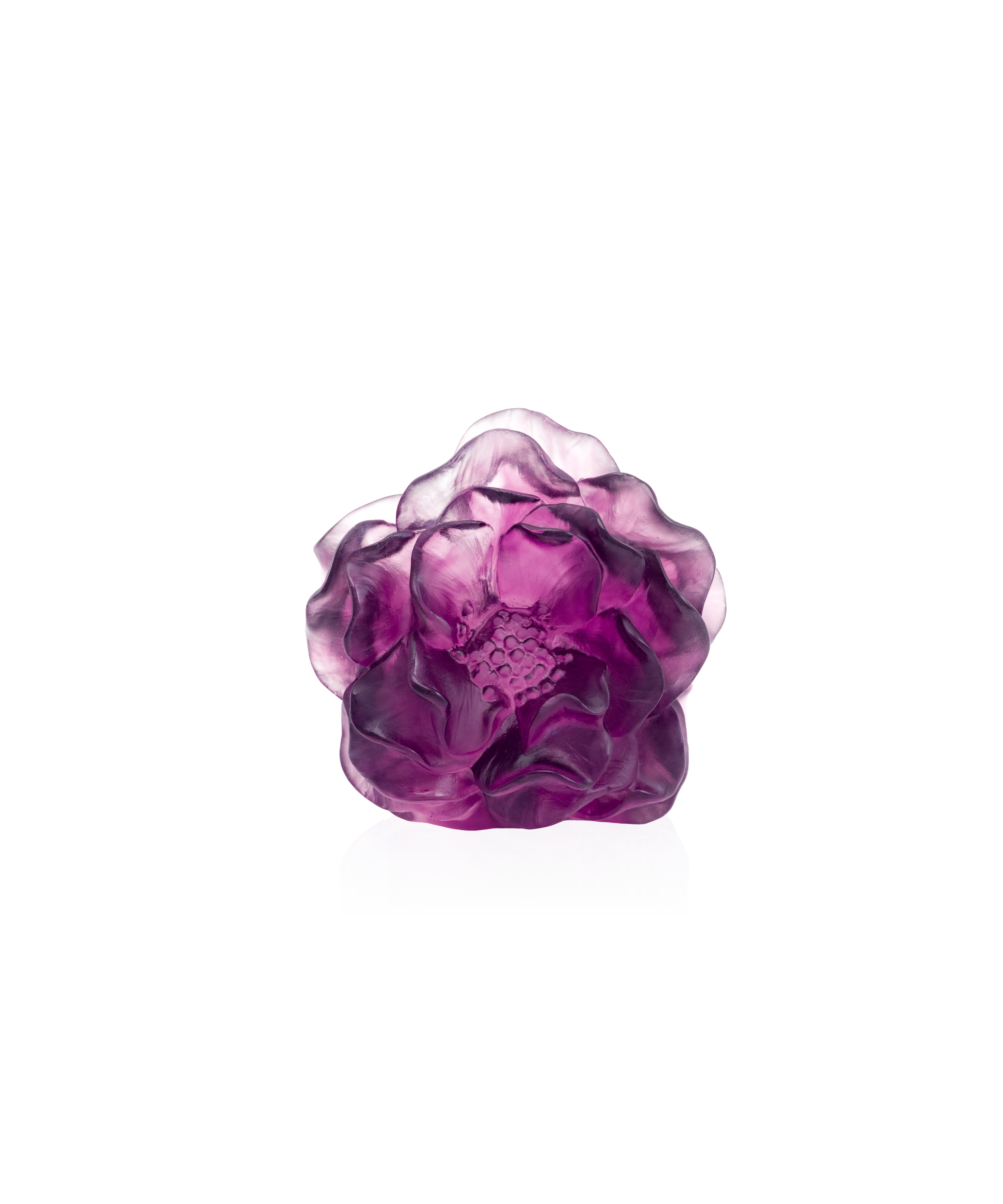 Camelia Fleur décorative Violette - Daum