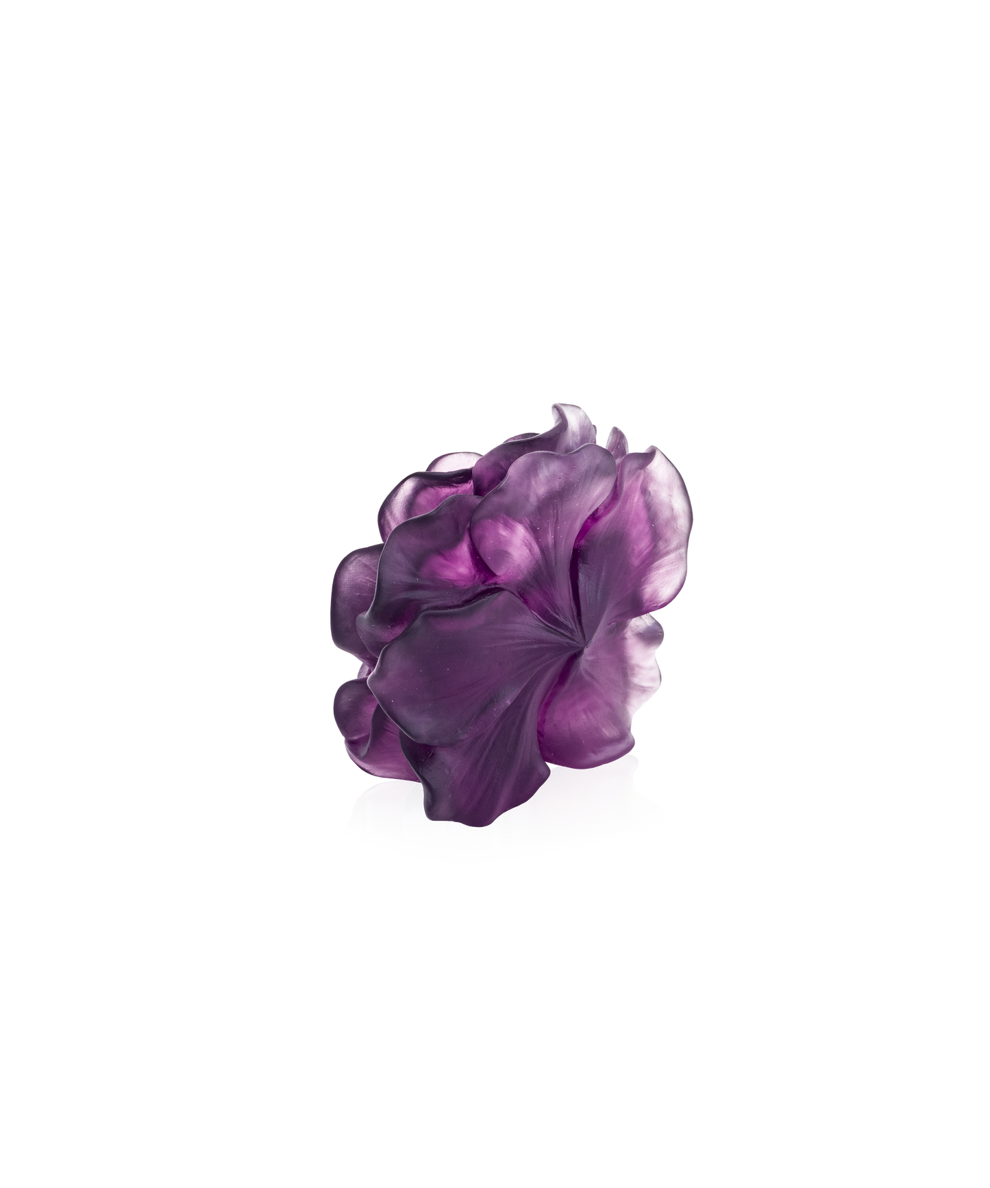 Camelia Fleur décorative Violette - Daum