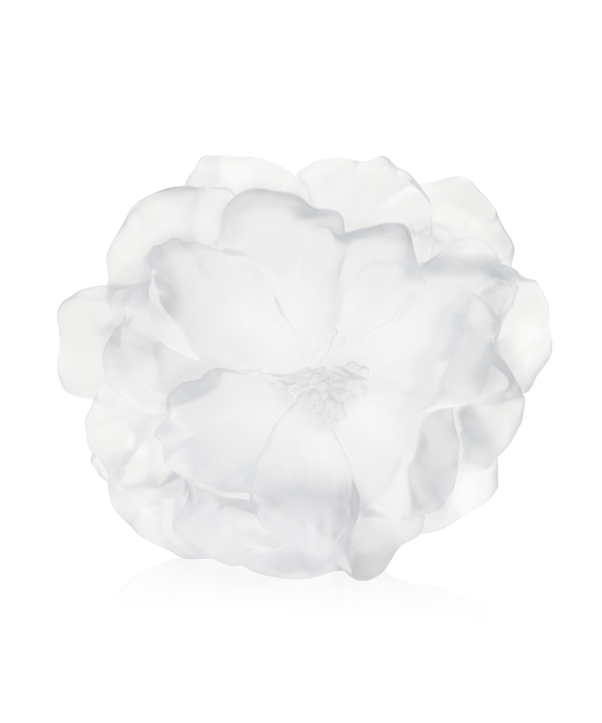 Camelia Vase grand modèle Blanc - Daum