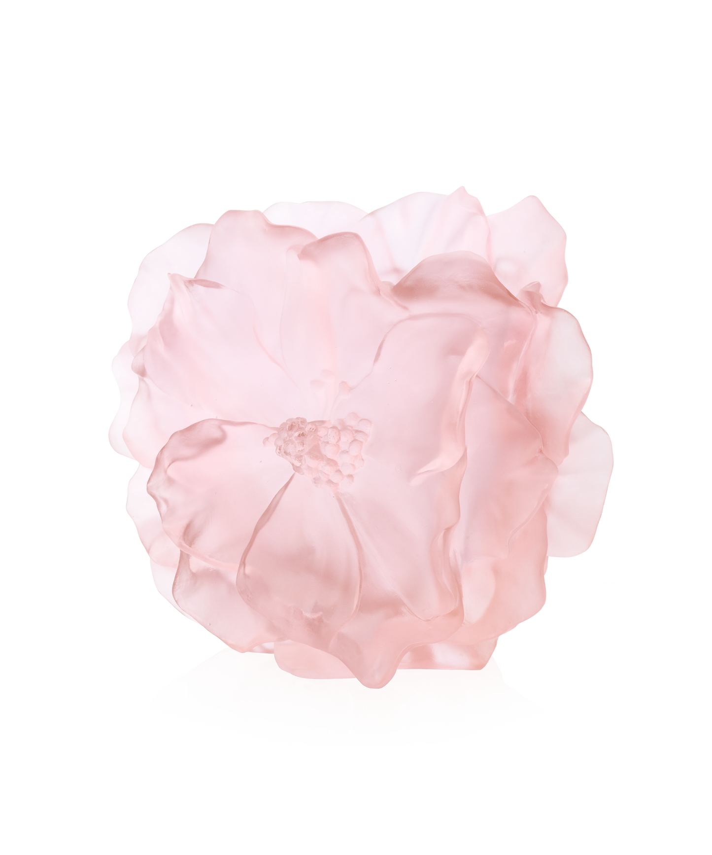 Camelia Vase grand modèle Rose - Daum